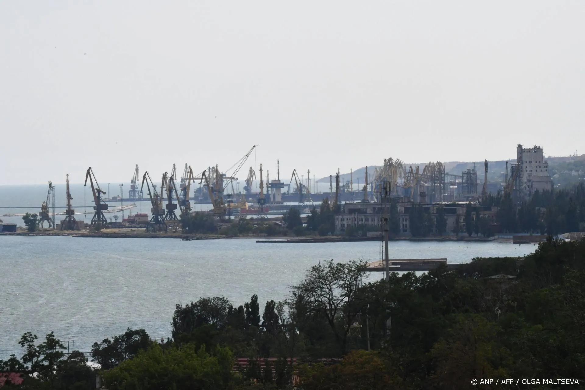 anp100626104 1