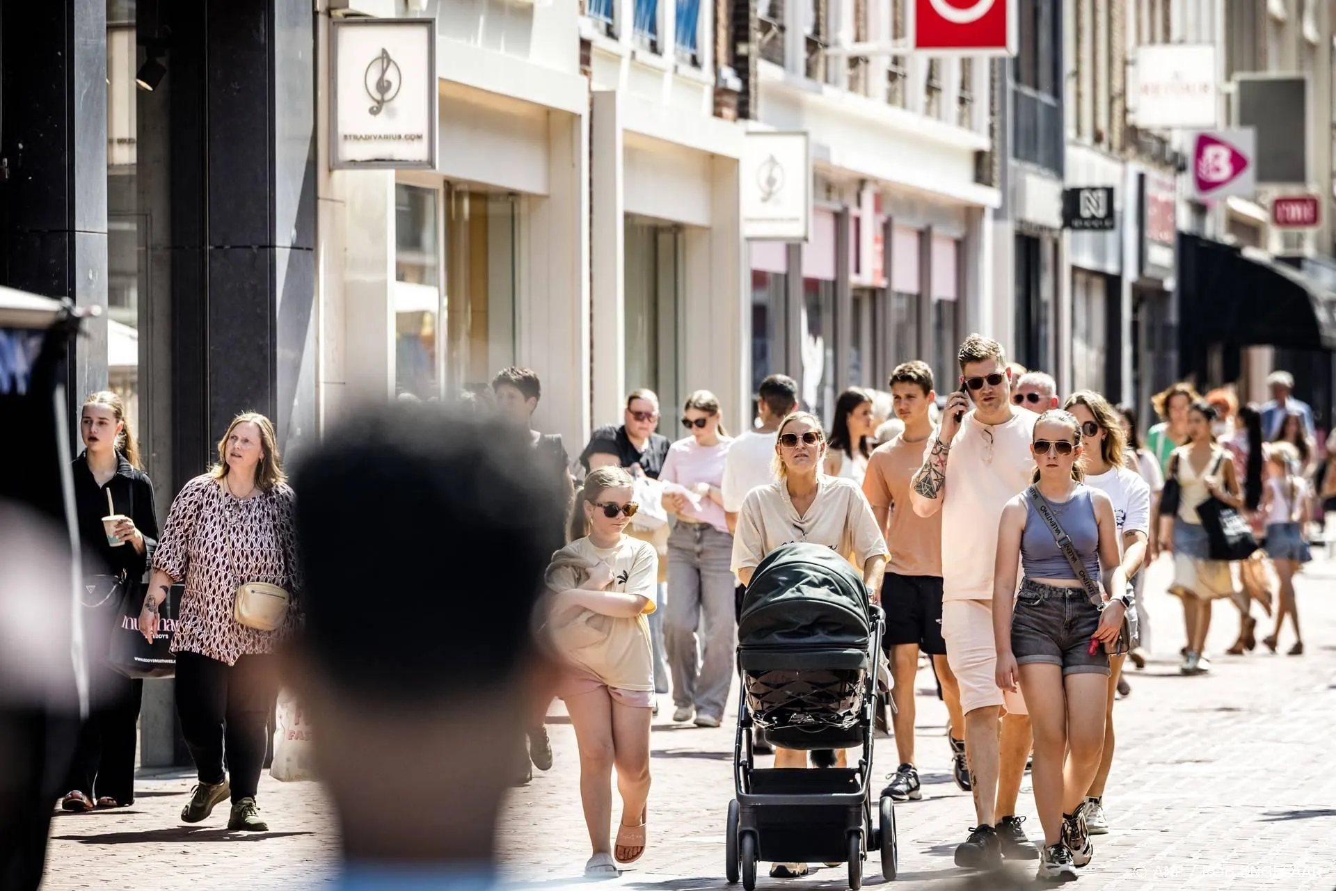 anp170626108 1