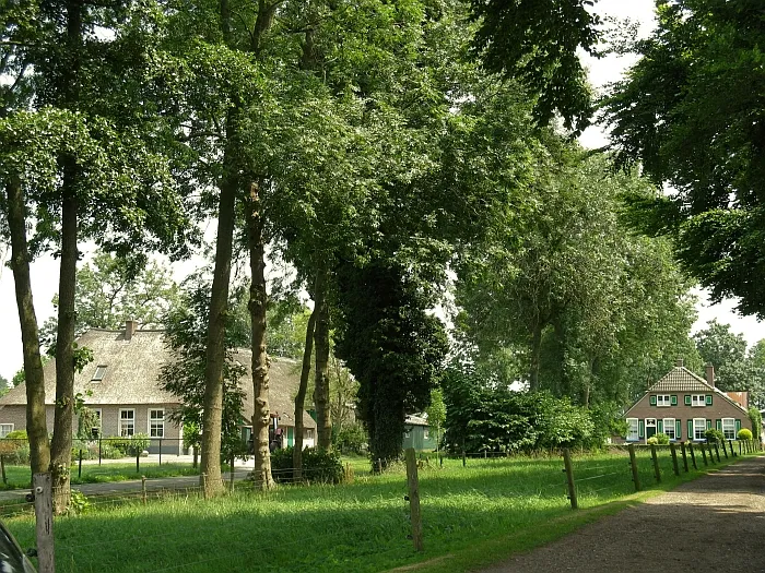 20180227 bomenbeleidsplan
