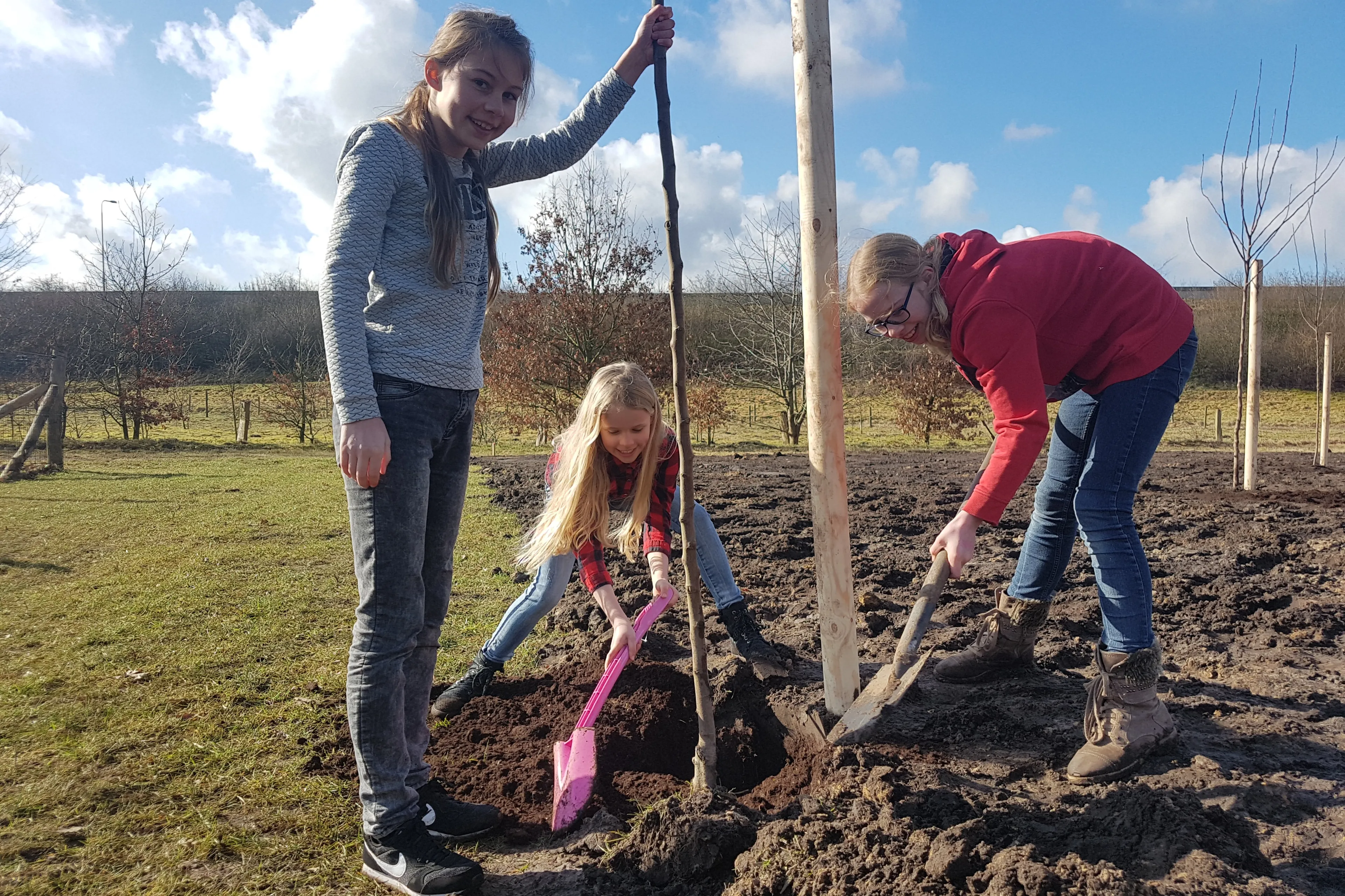 boomfeestdag wierden 14 maart 2018