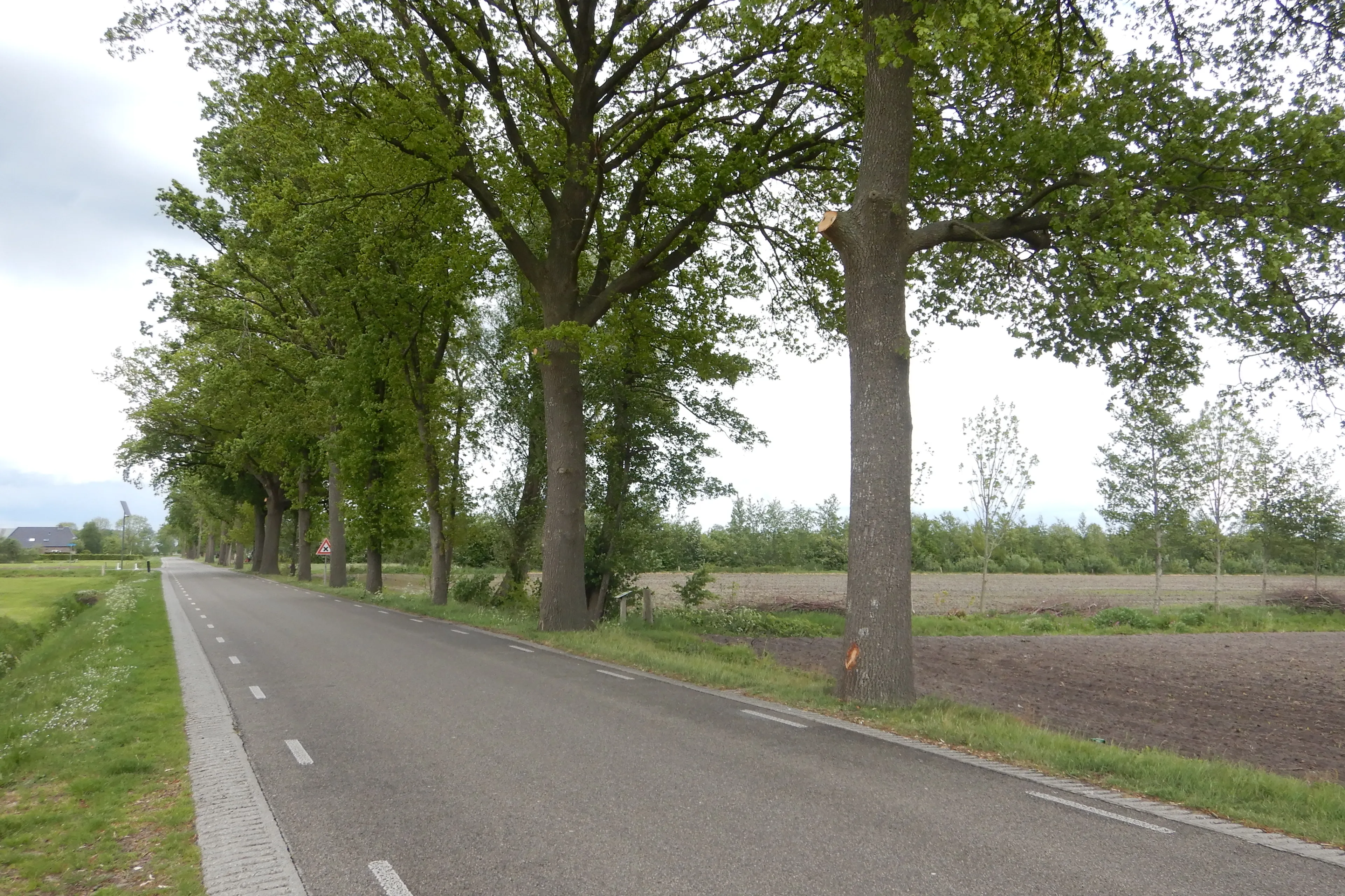 dscn1233