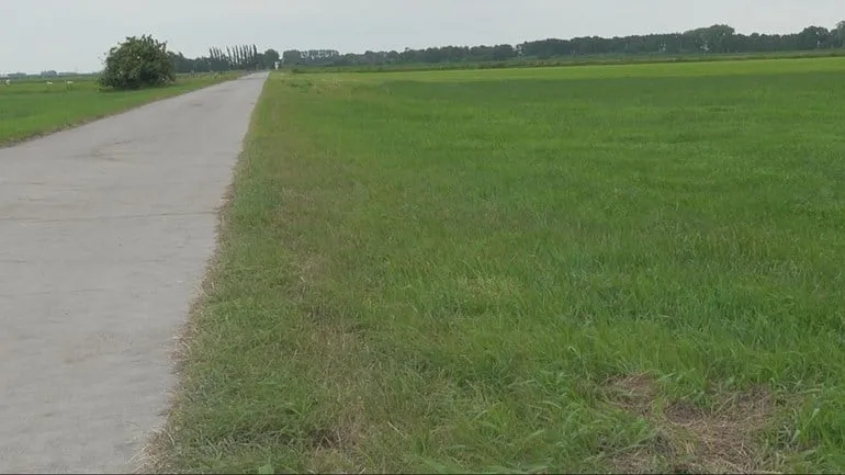 gedempte sloot foto jauke boerdam rtv oost