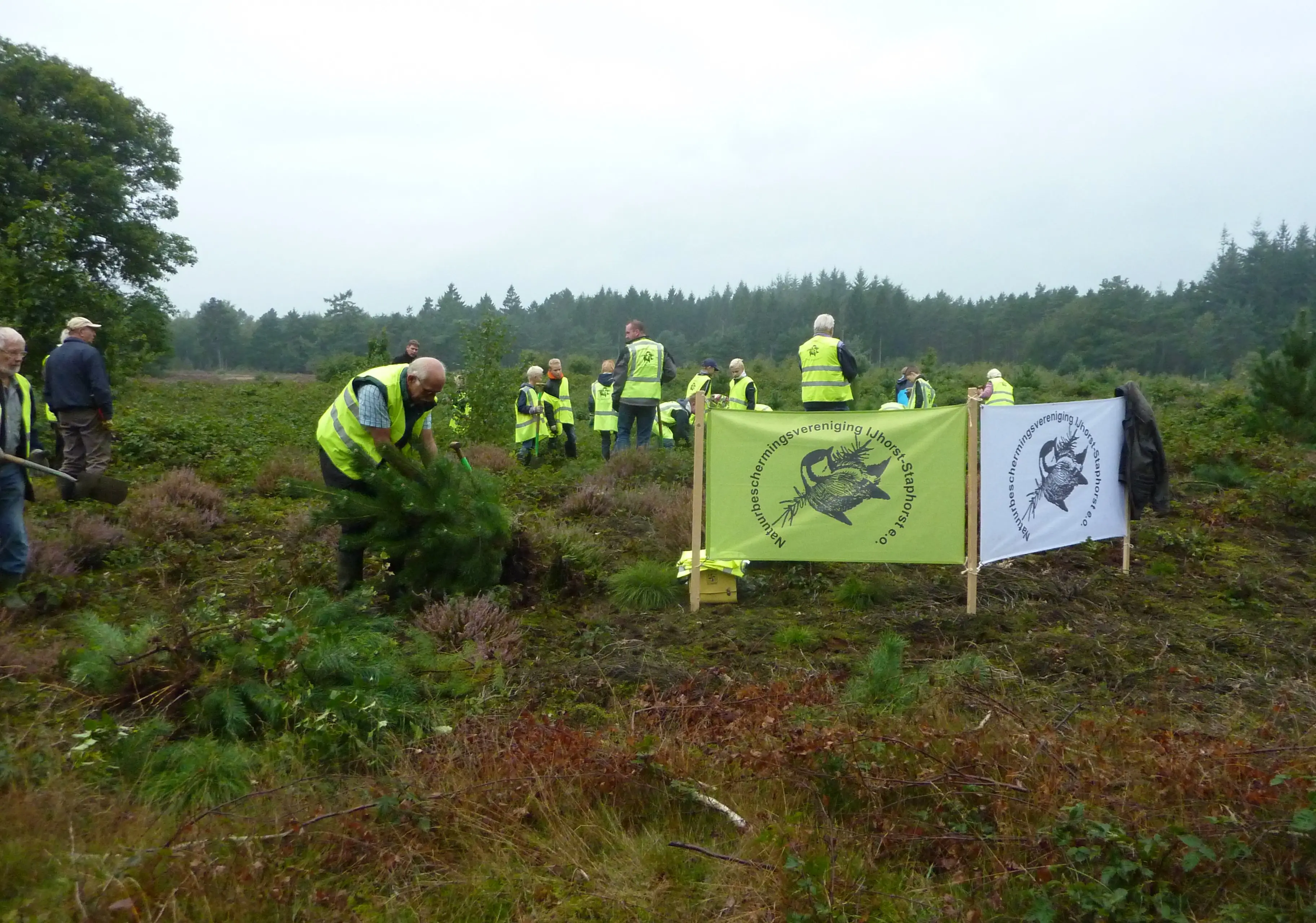 heidezuivering september 2015 1
