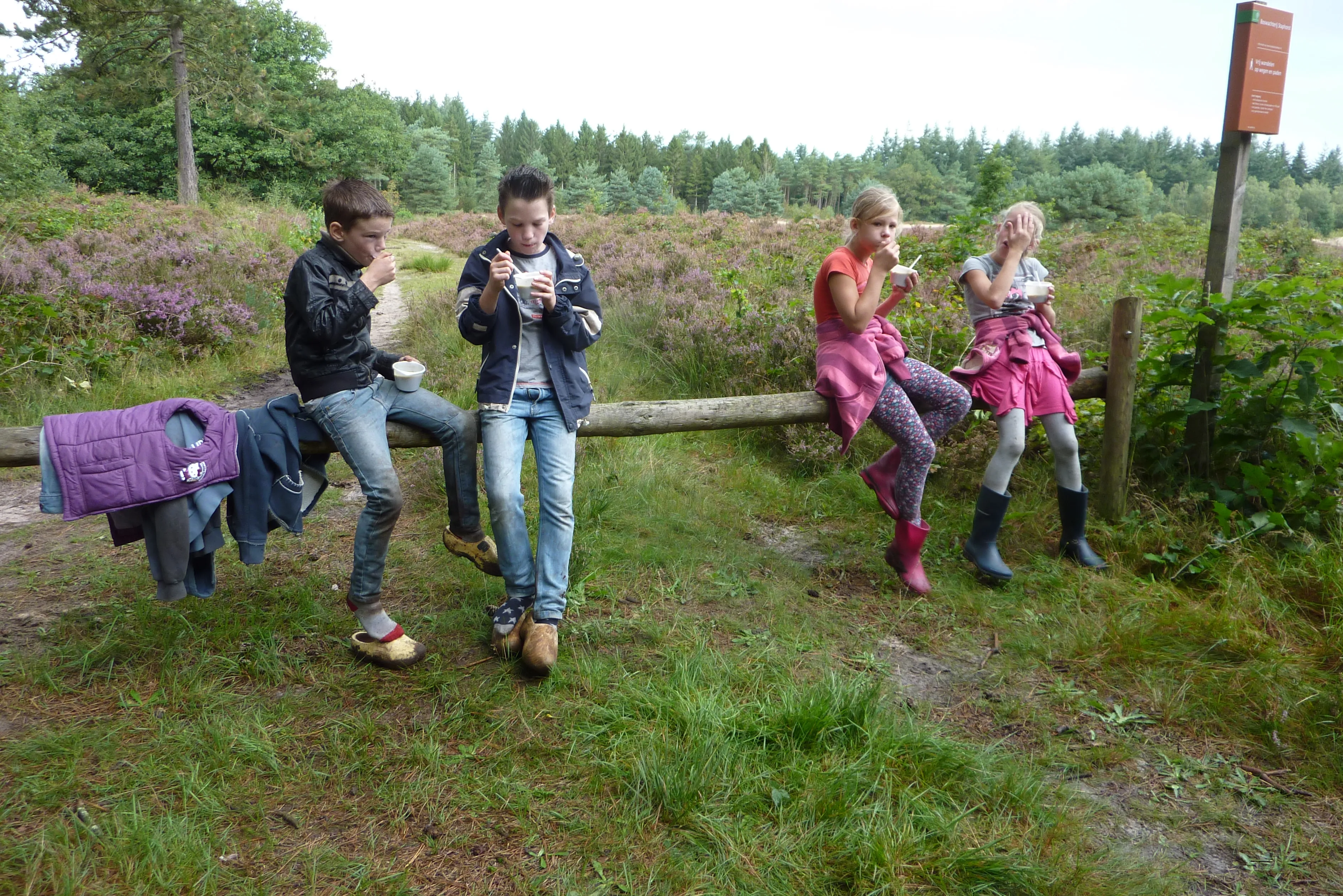 Gratis snert voor ieder na heidezuivering in Boswachterij