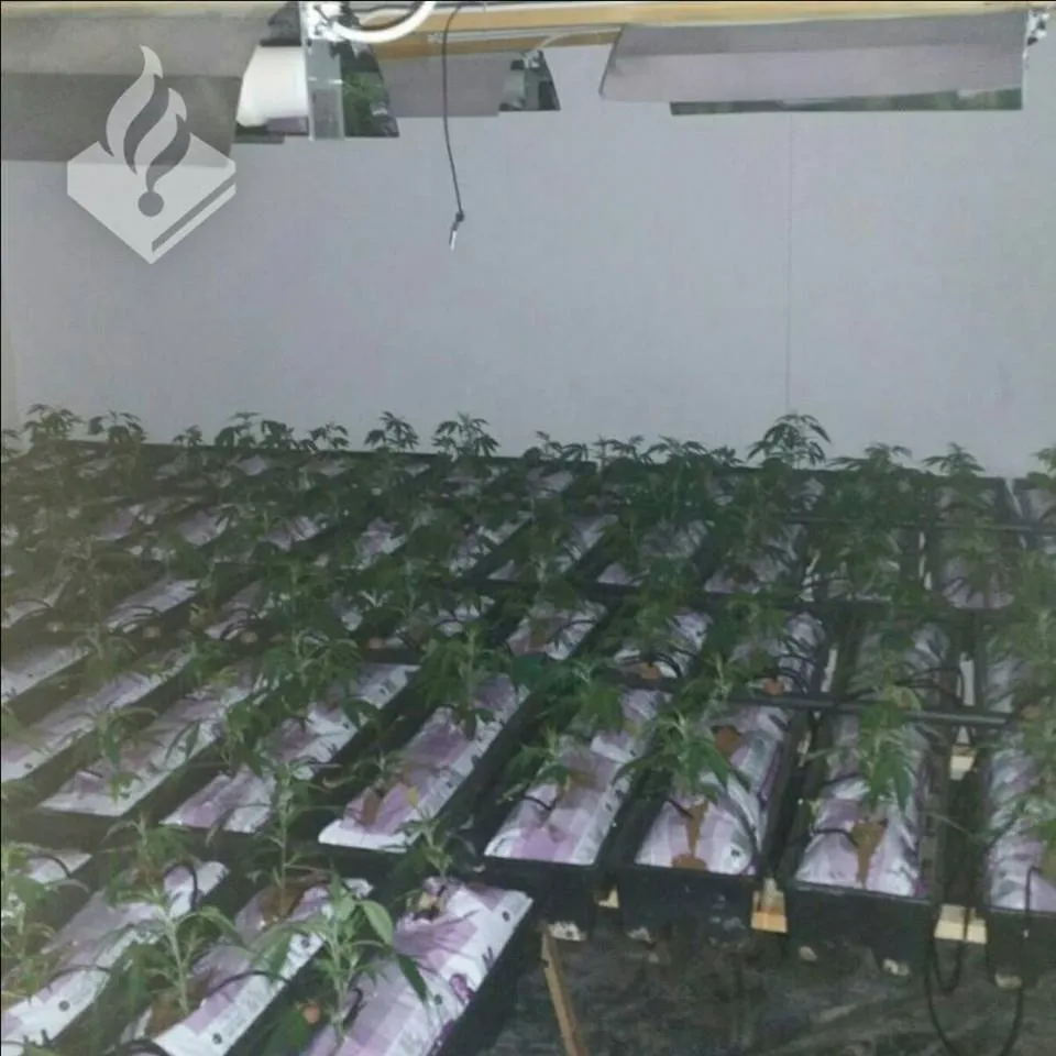 hennep schoonstersland