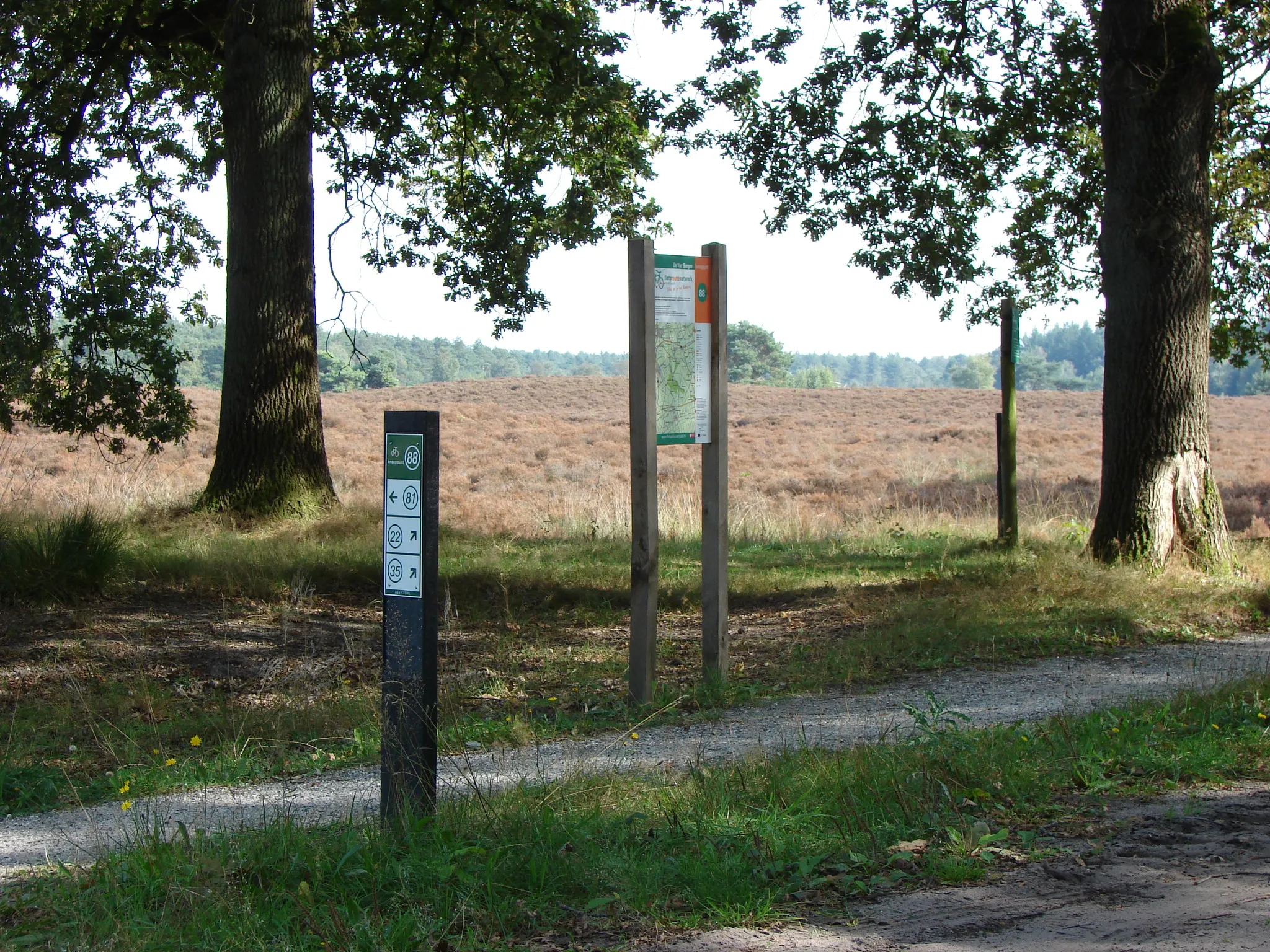 staphorst zwarte dennen1