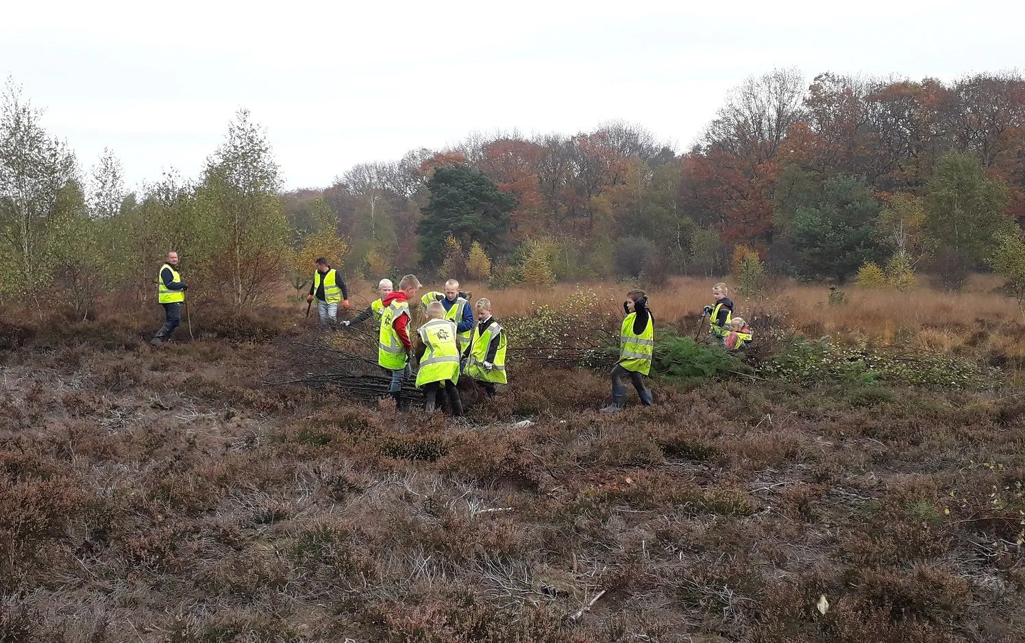 Vrijwilligers nodig voor opschonen heide bij Koolhaarweg