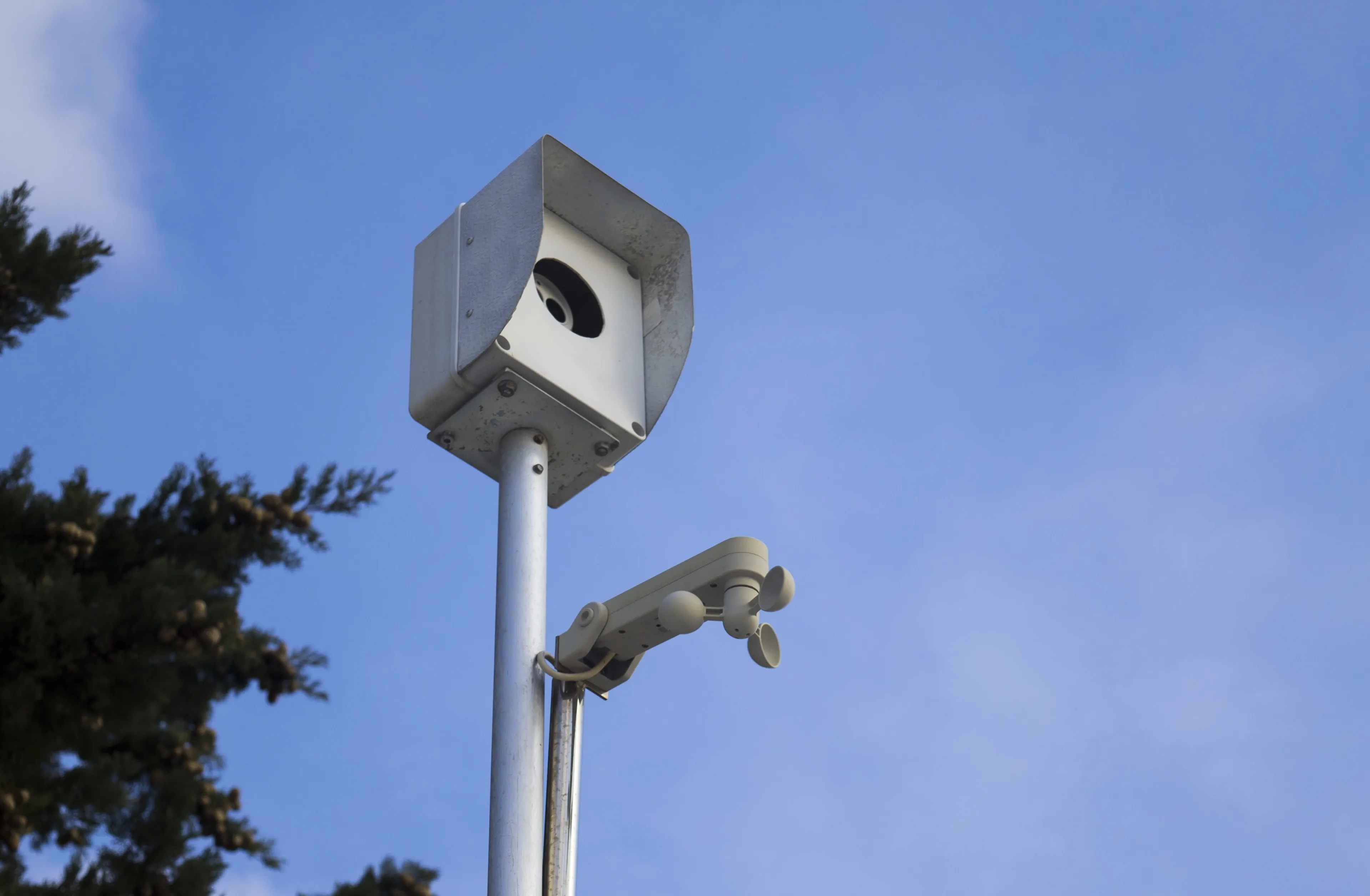 lage-hoekmening-van-een-straatcamera-die-door-bomen-onder-het-zonlicht-en-een-blauwe-hemel-wordt-omringd