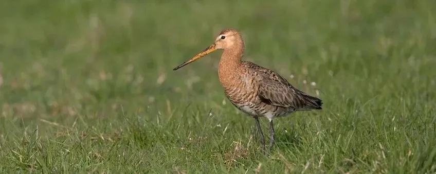 37b0c2d4-845a-49ea-b466-f6c409991d4f