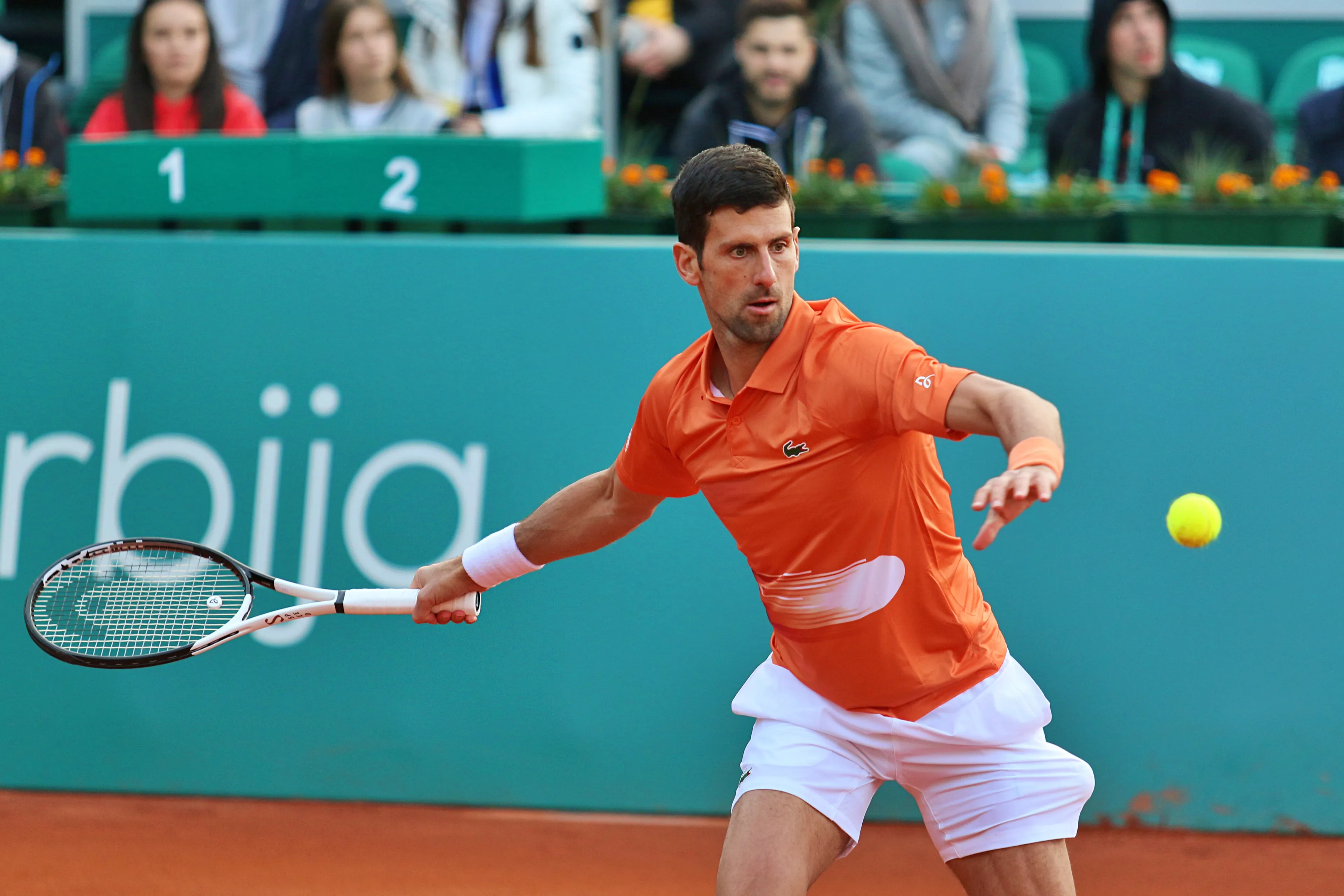 "I've done enough in my career that I could stop today" says Novak Djokovic