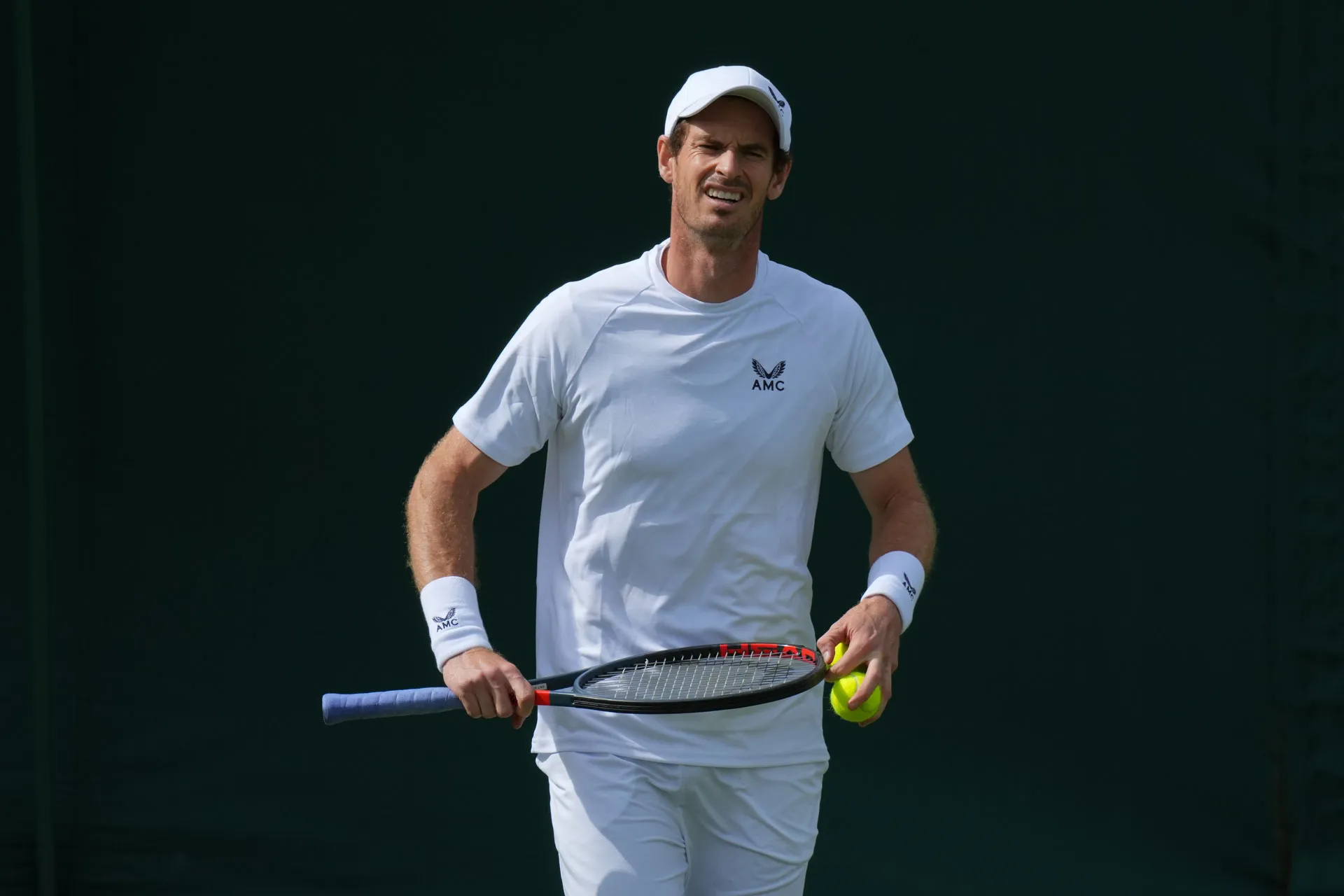 Murray 'Willing To Take Risk' To Play Wimbledon One Final Time