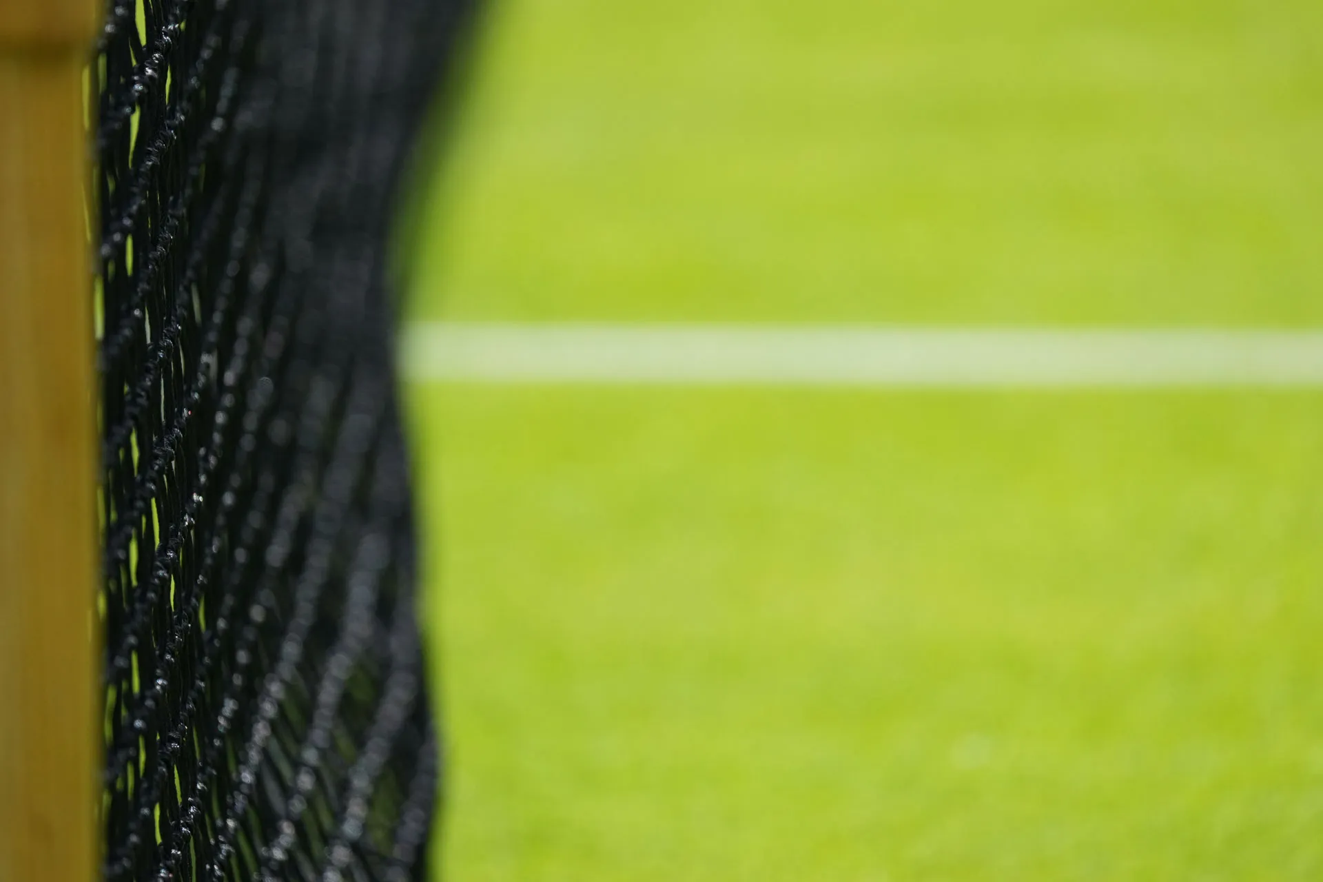 Net Wimbledon2022 MartinSidorjak