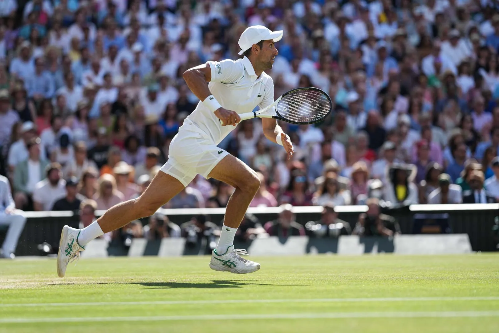 "I can always do better" - Djokovic aiming for more after Kecmanovic victory