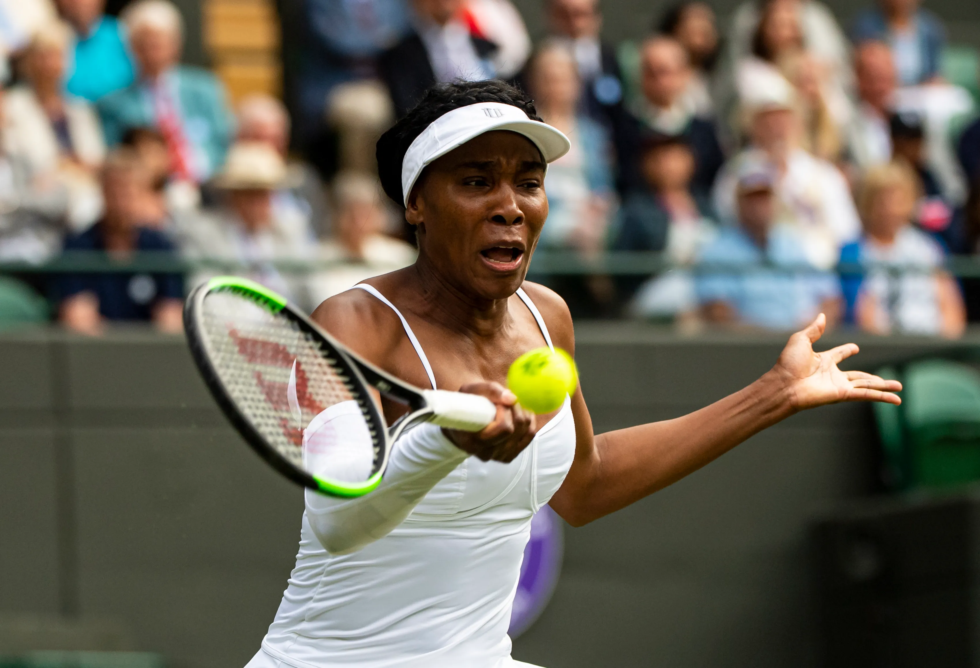WATCH: Horrific Scenes As Venus Williams Falls & Screams In Pain At Wimbledon