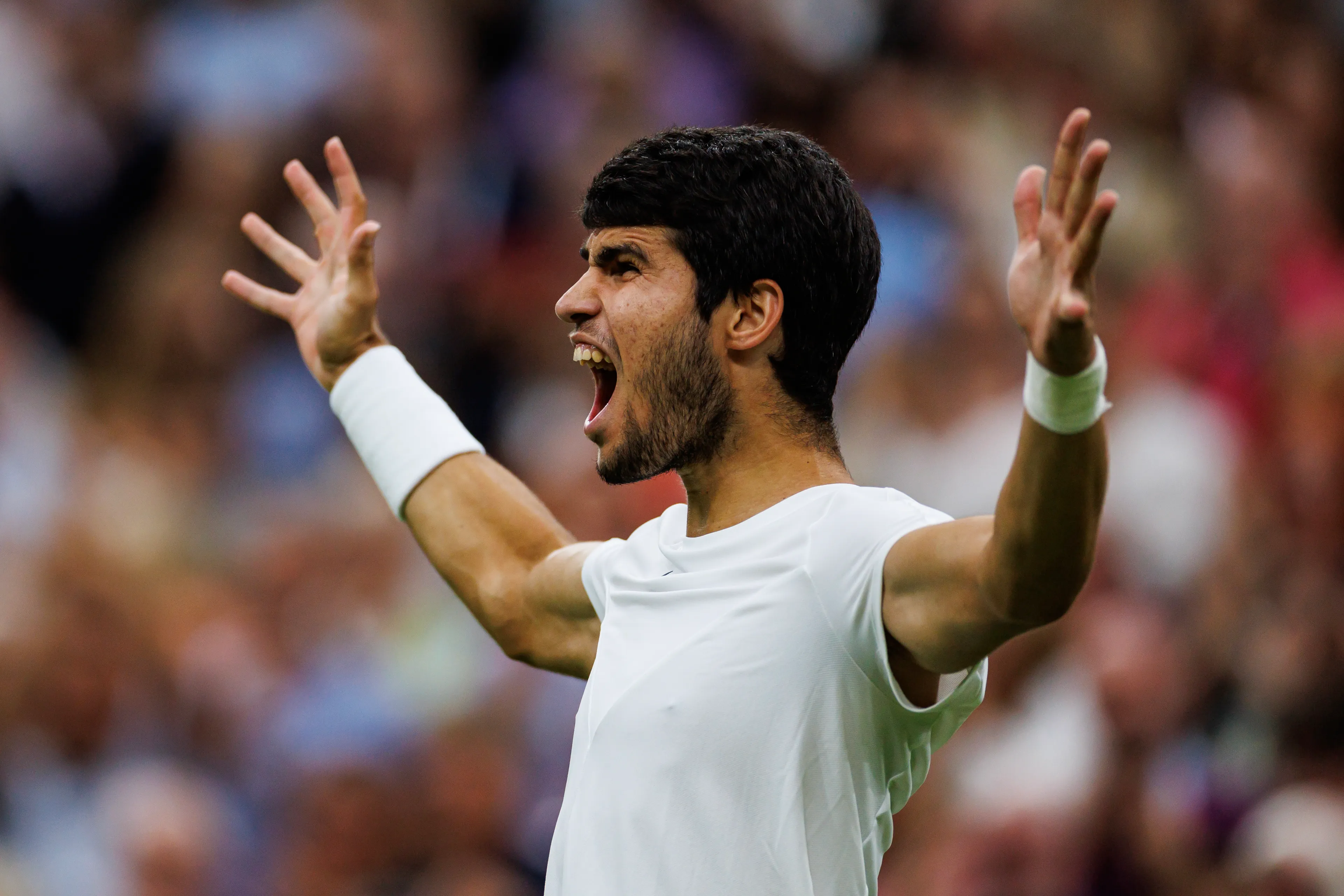 alcaraz carlos wimbledon23 tpn23