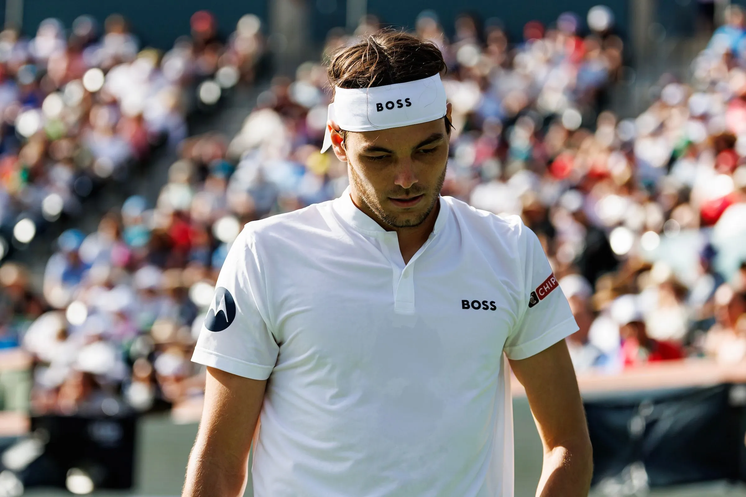 fritz taylor iw24 tpn