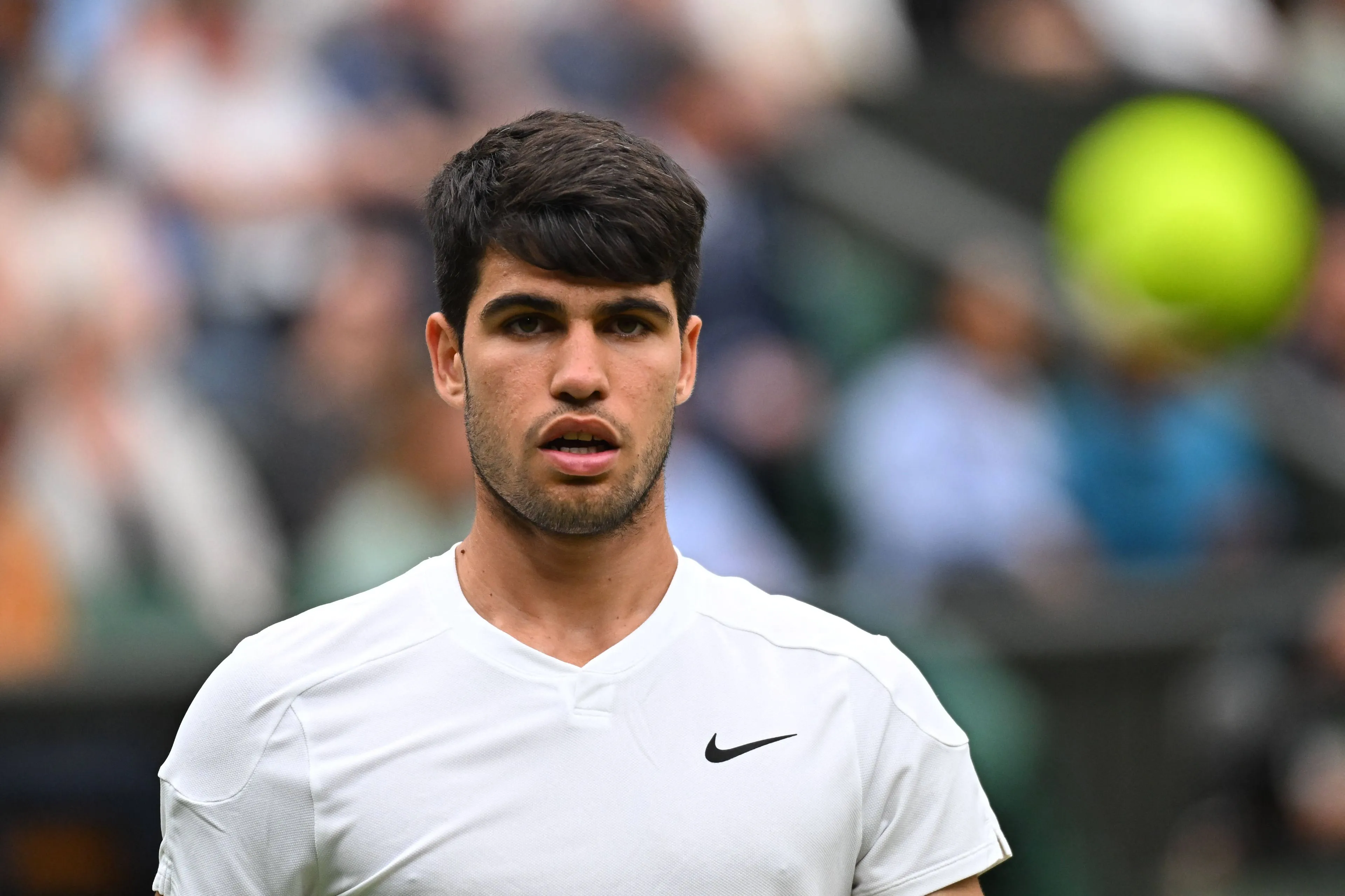 alcaraz carlos wimbledon24 imagoabacapress