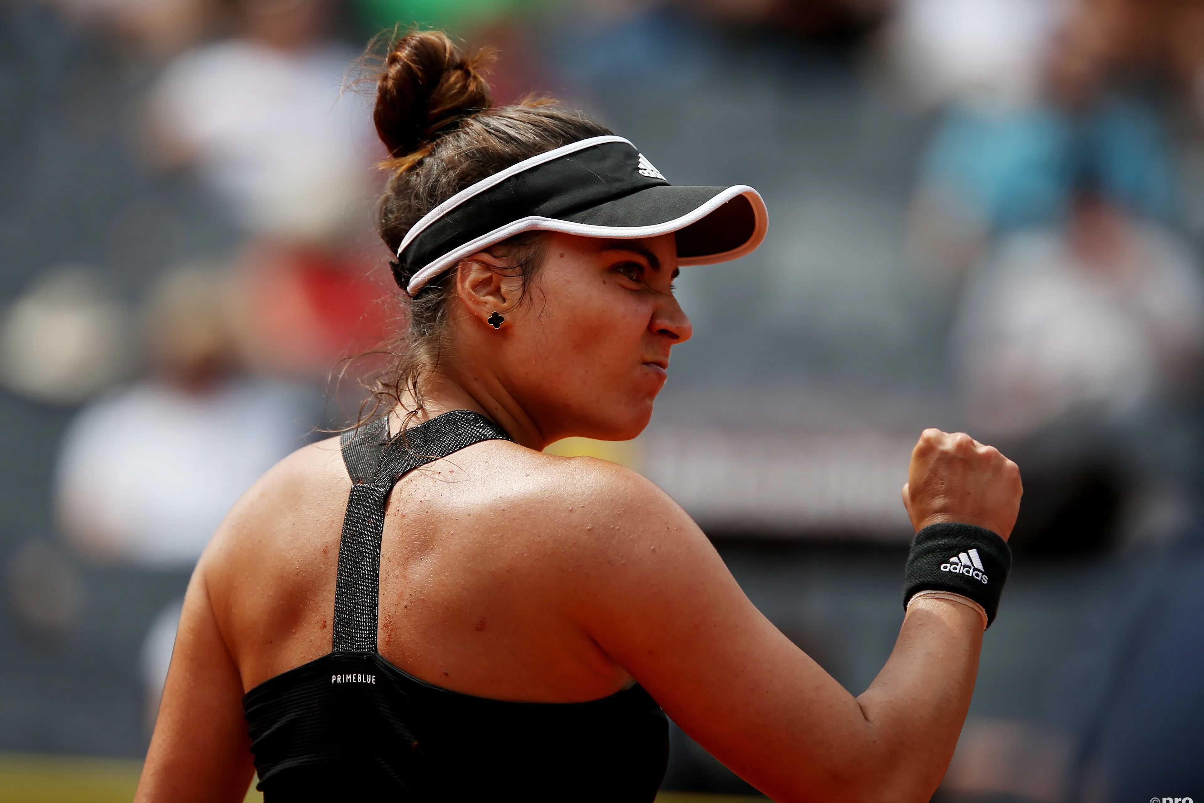 Ruse defeats Petkovic to complete run from qualifying to Hamburg European Open title