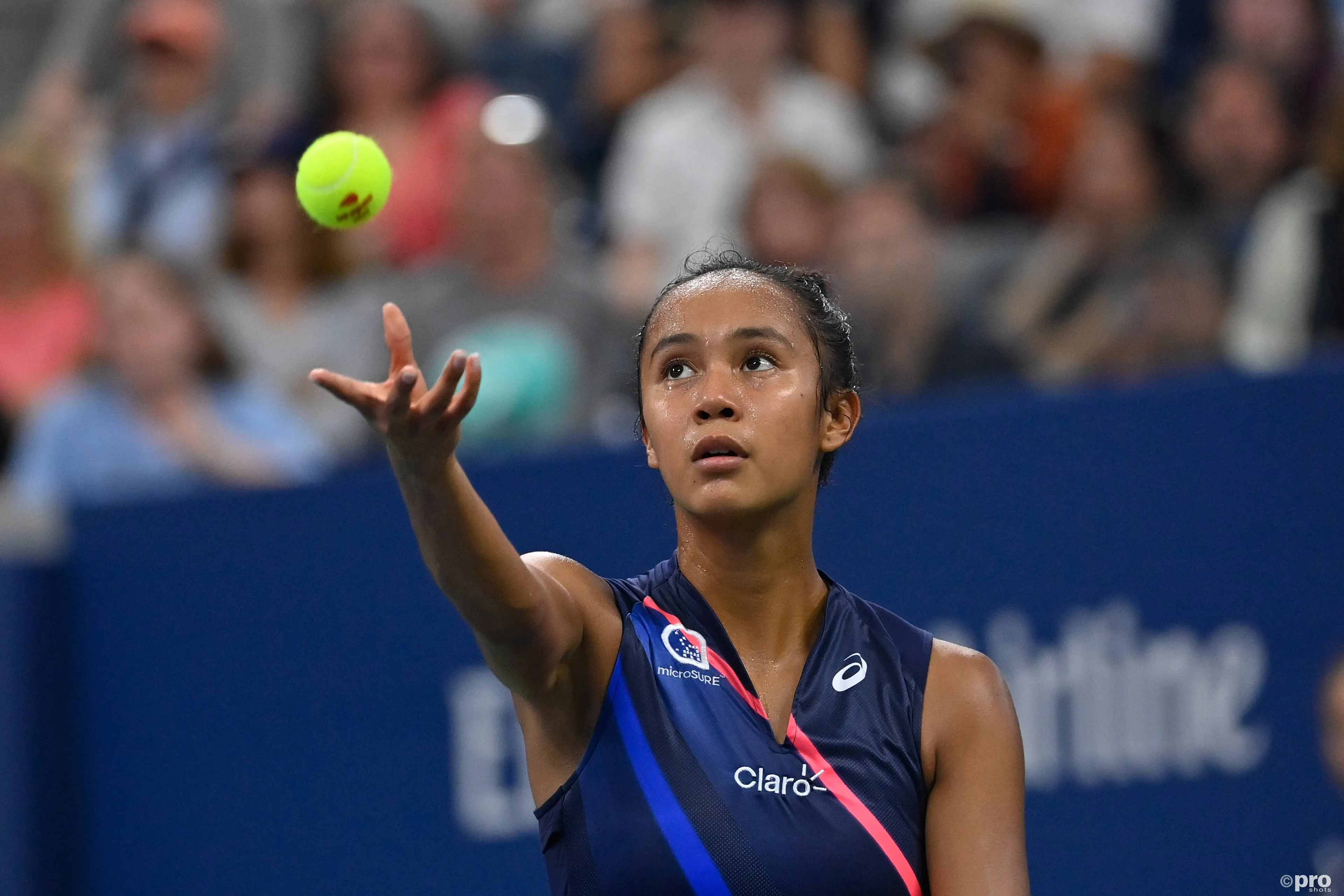 "Hopefully I can share the court with her before she retires" - Fernandez would like to play against Serena Williams
