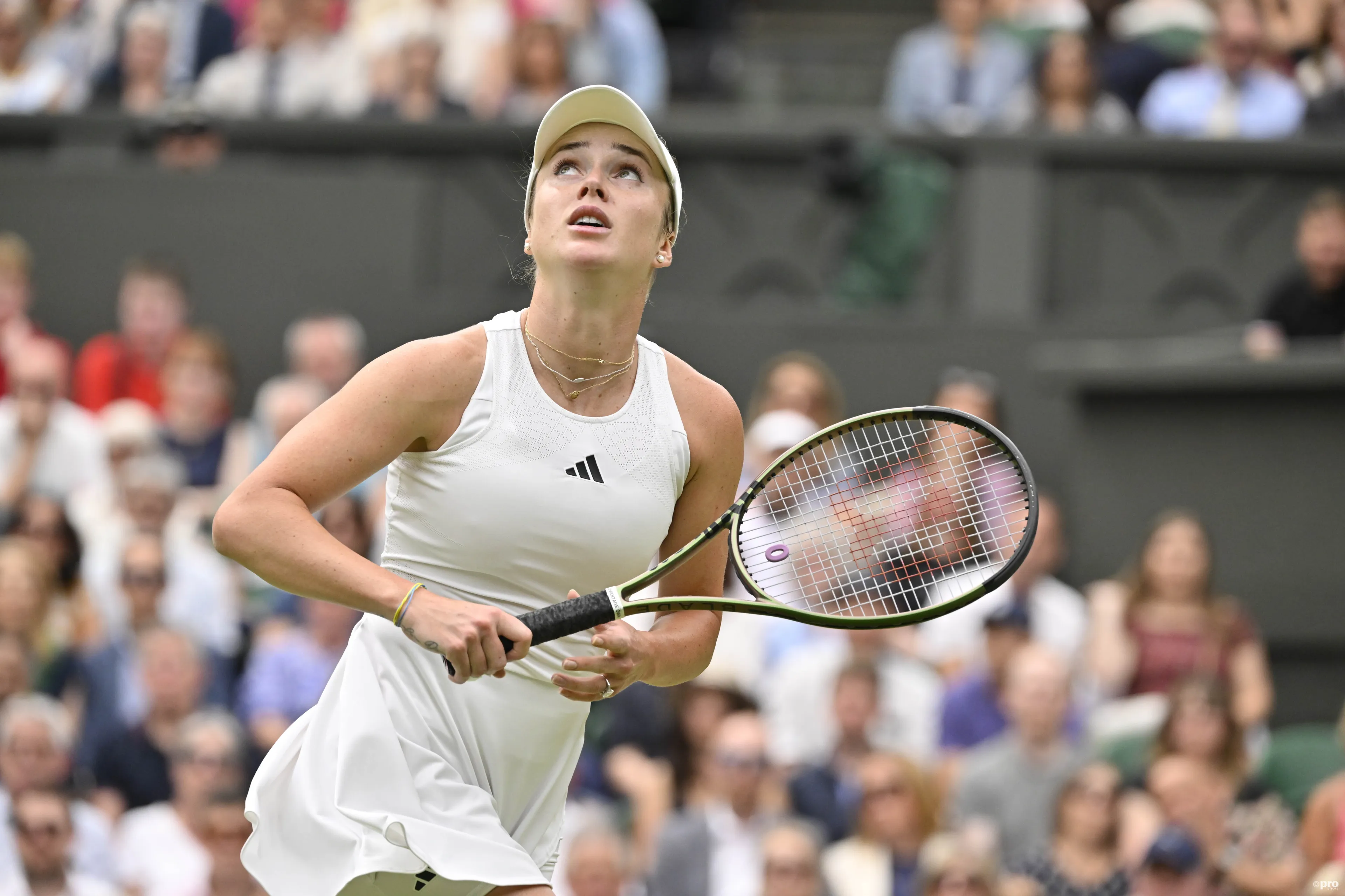 Der Sommer von Svitolina geht weiter, sie baut ihr Kopf-an-Kopf-Rennen gegen Kasatkina auf 8:0 aus und steht im Viertelfinale der DC Open