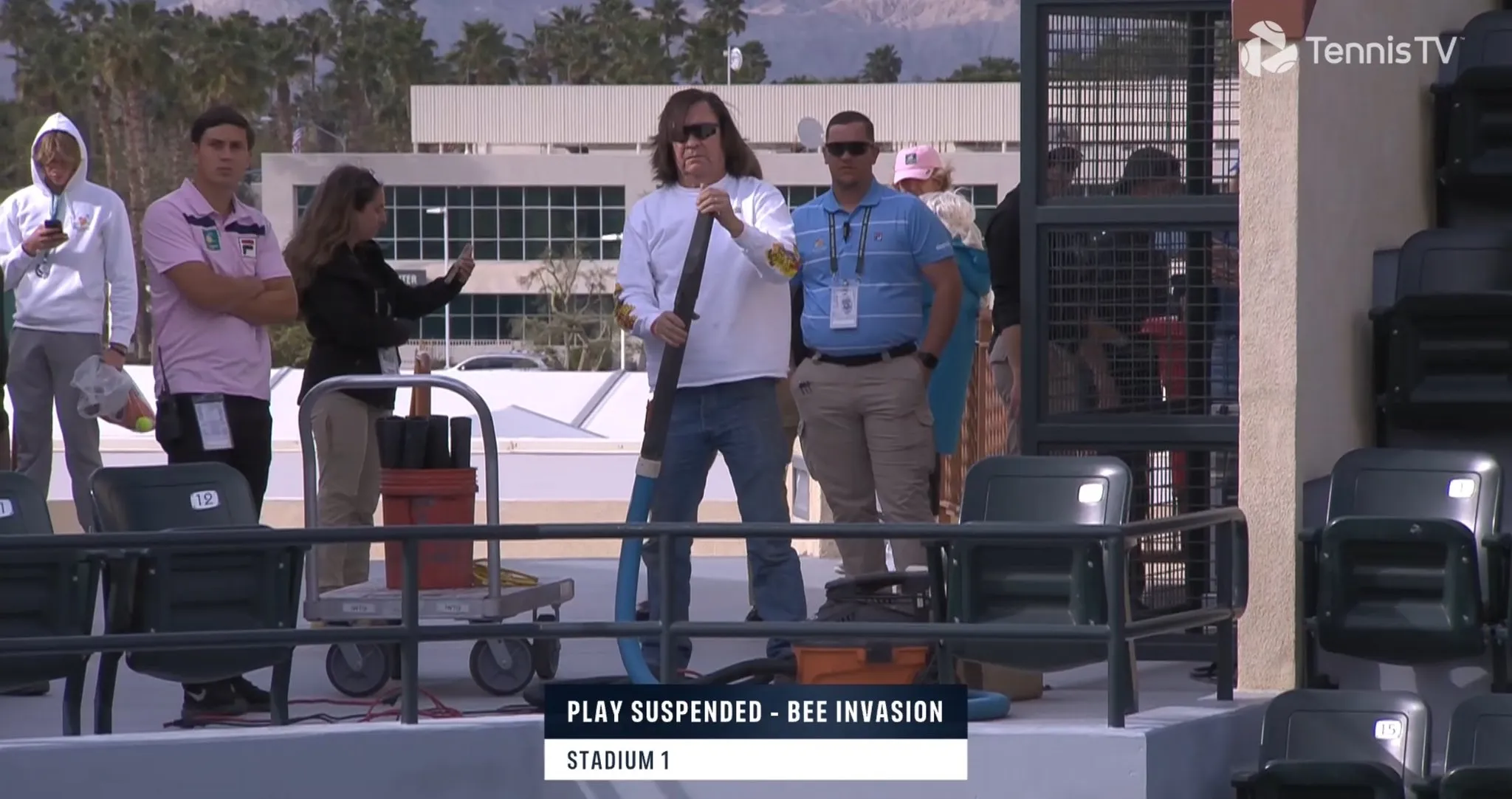 (VIDEO) An American Hero: Indian Wells invasion quelled by beekeeper wearing no protection