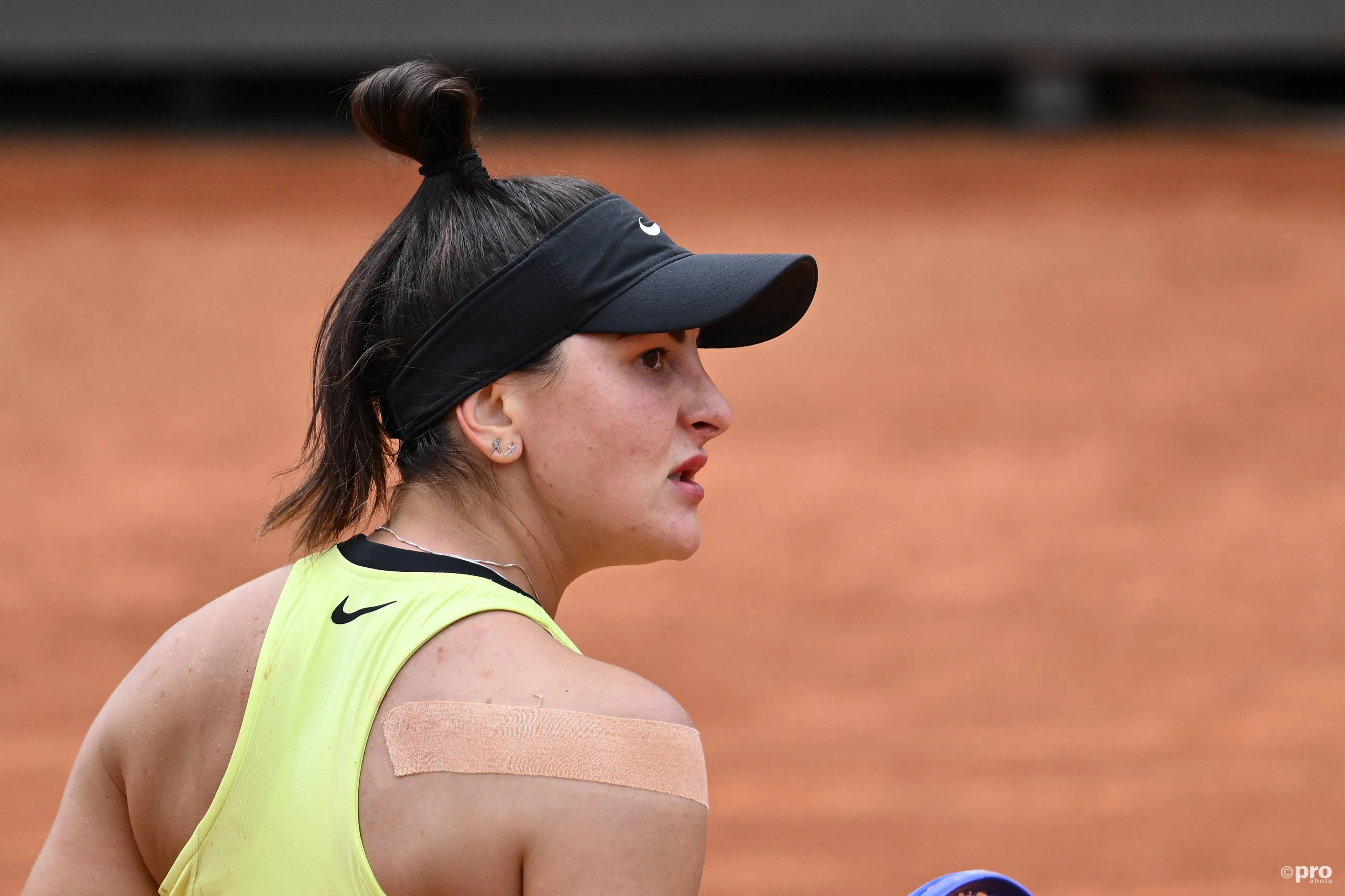 Andreescu1