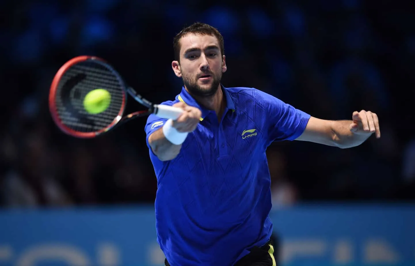 Cilic Marin ATPFinals2014