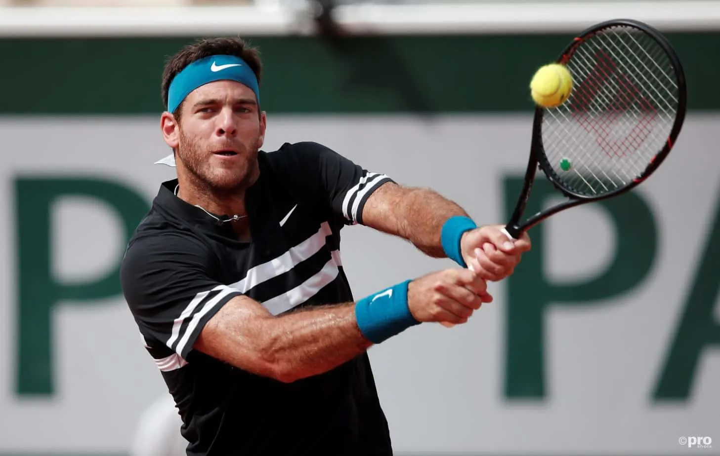 DelPotro JuanMartin RolandGarros2018