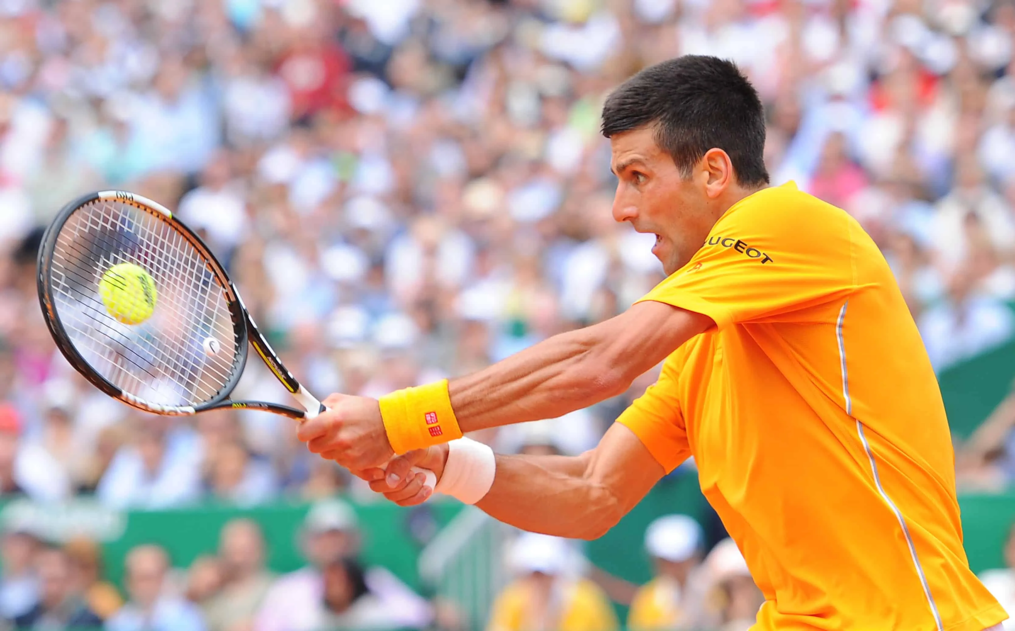 Djokovic labels Monte-Carlo loss to Evans as "worst match" in recent years