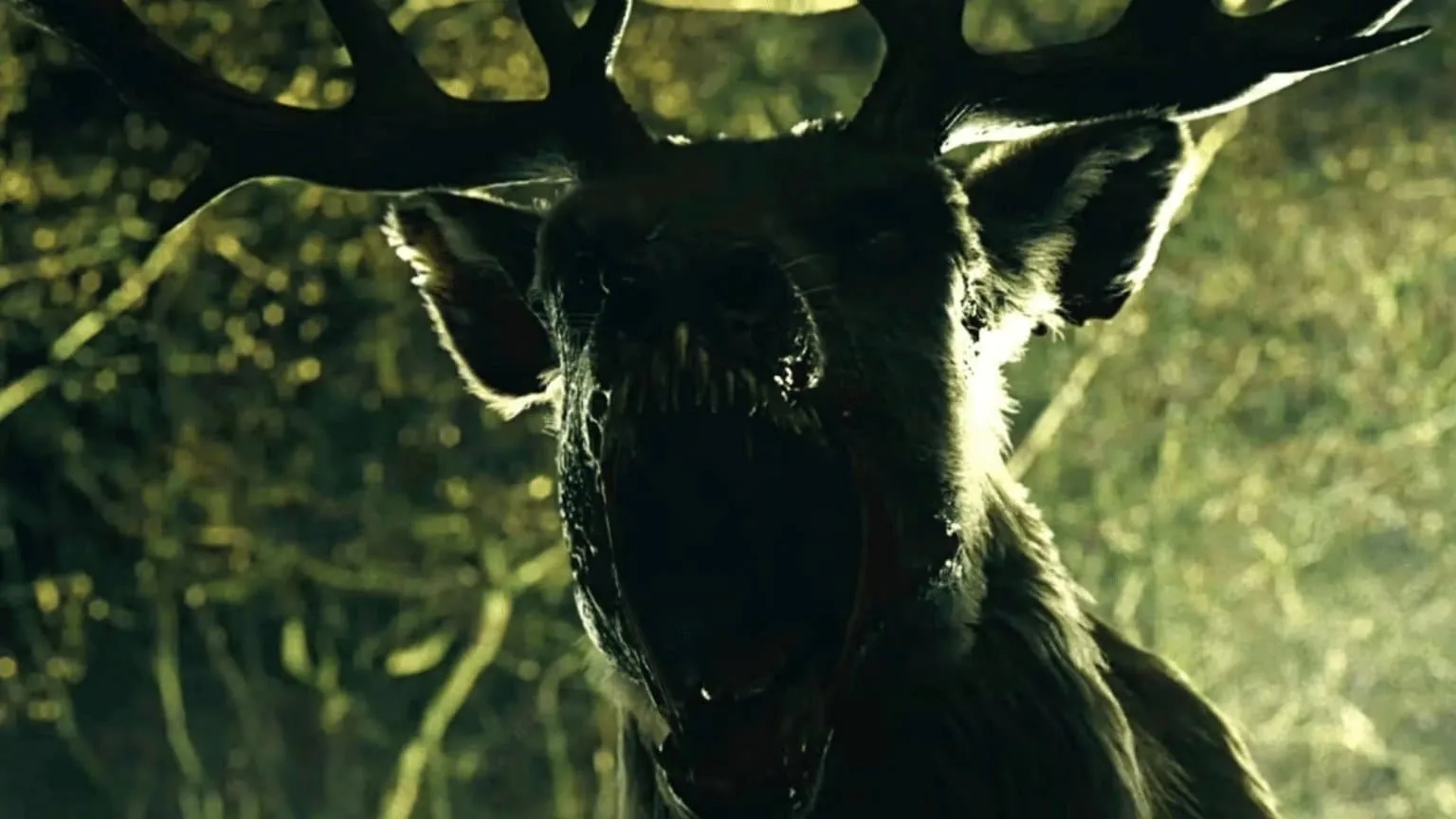 Een bloeddorstige Bambi is uit op wraak in de eerste trailer van 'Bambi: The Reckoning'