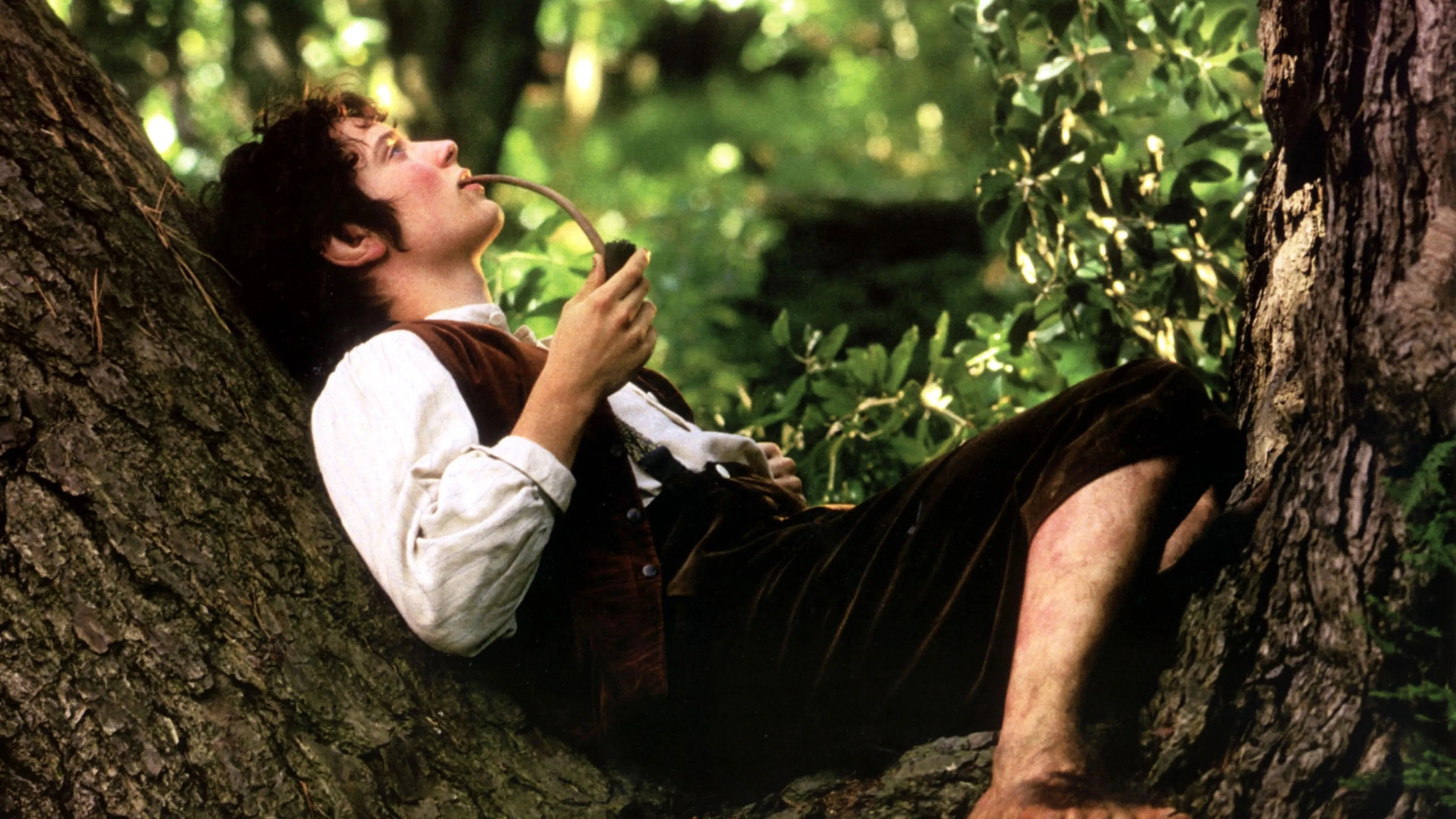 Elijah Wood laat licht schijnen op terugkeer in nieuwe Lord of the Rings-film 'The Hunt for Gollum'