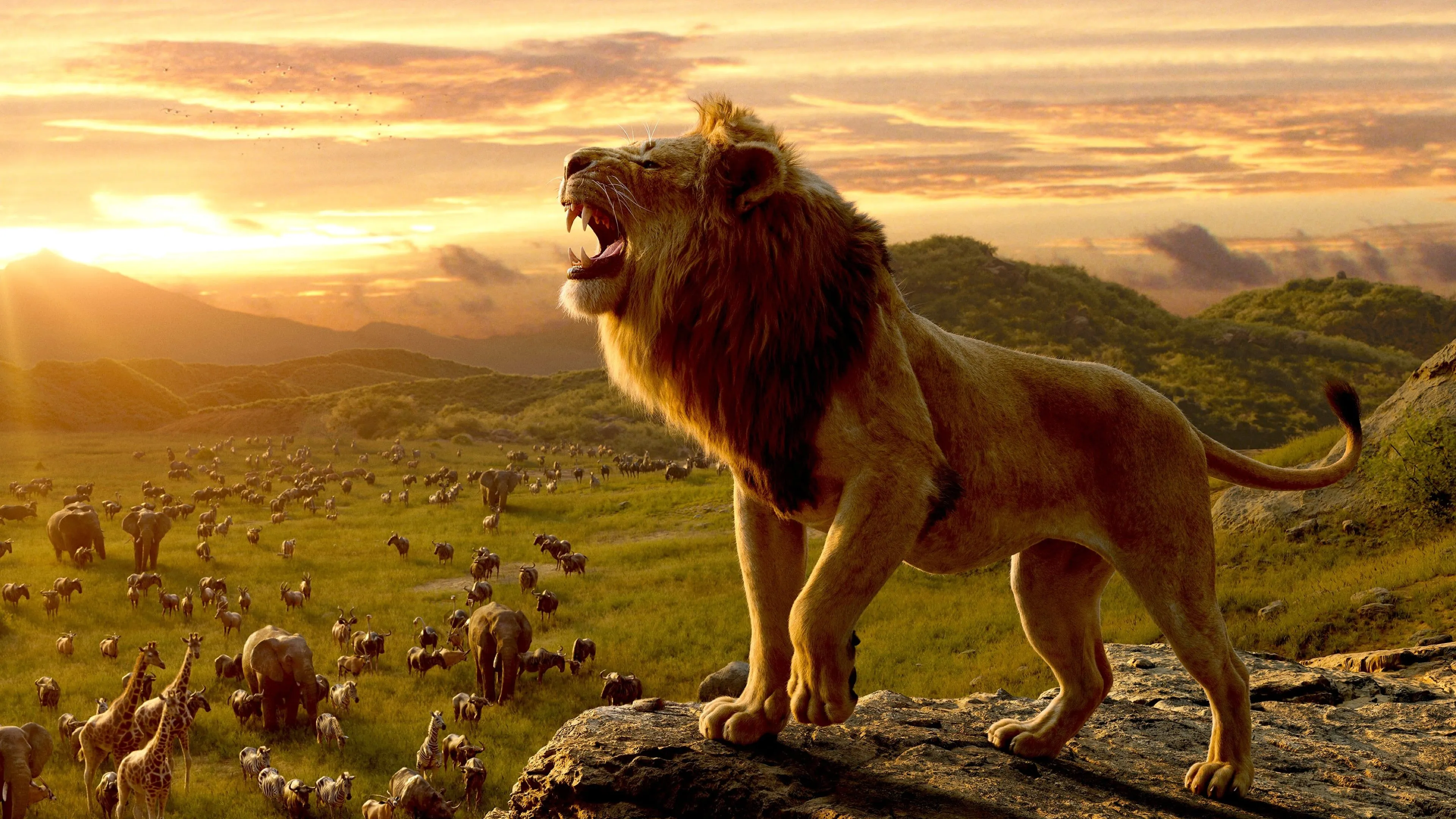 Disney deelt eerste beelden van nieuwe Lion King-film 'Mufasa'