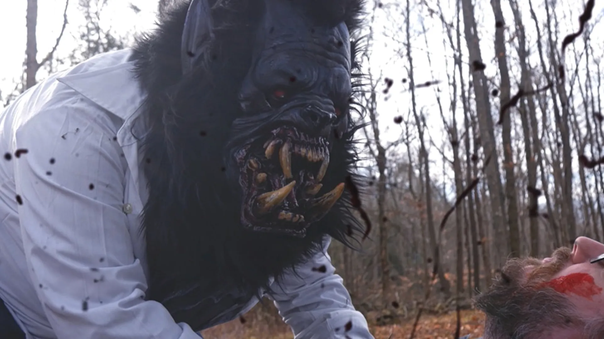 Knotsgekke B-film 'Cocaine Werewolf' belooft een absurde mix van horror en humor
