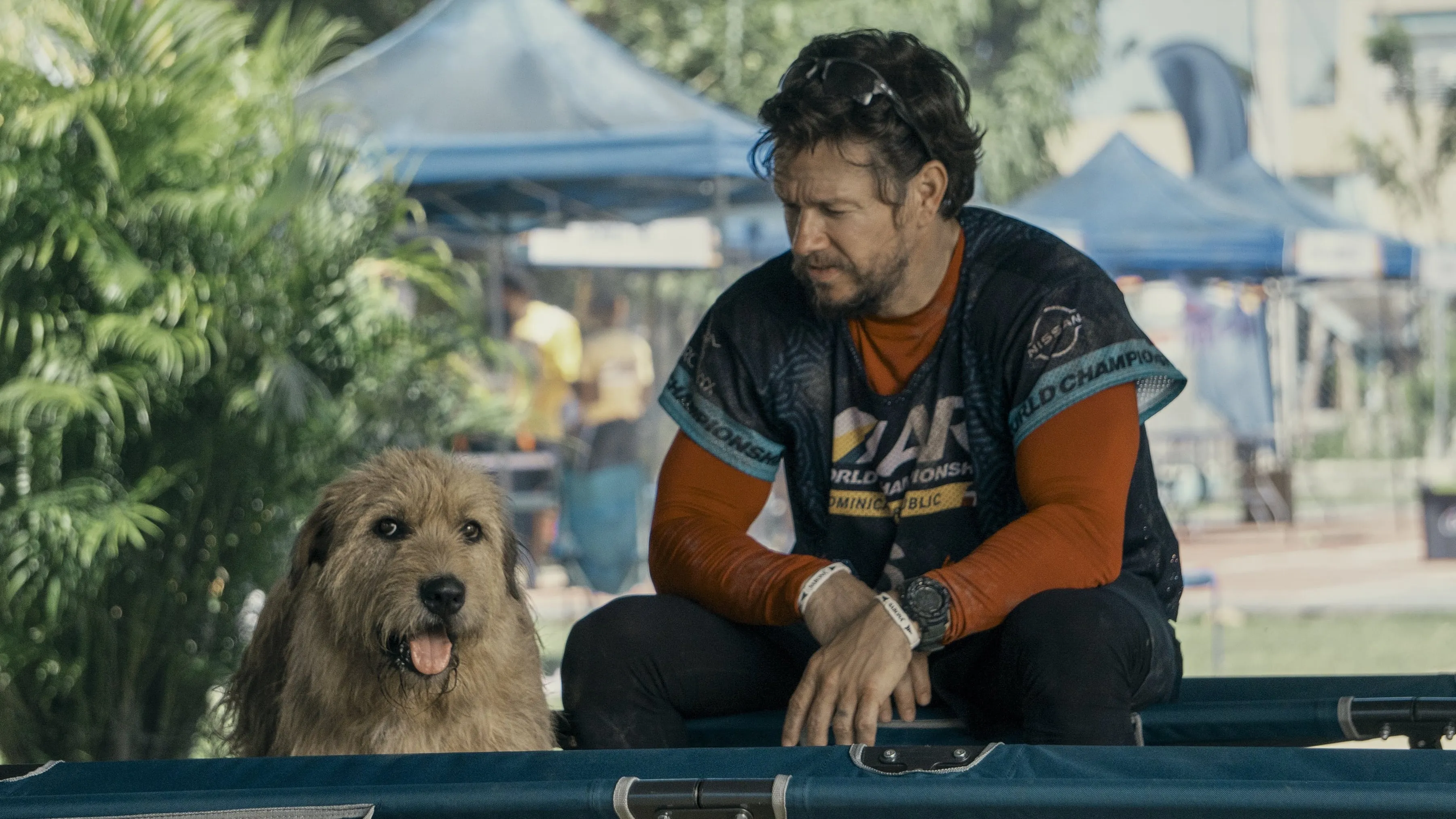 Waargebeurde feelgood hondenfilm met Mark Wahlberg vanaf vandaag te streamen