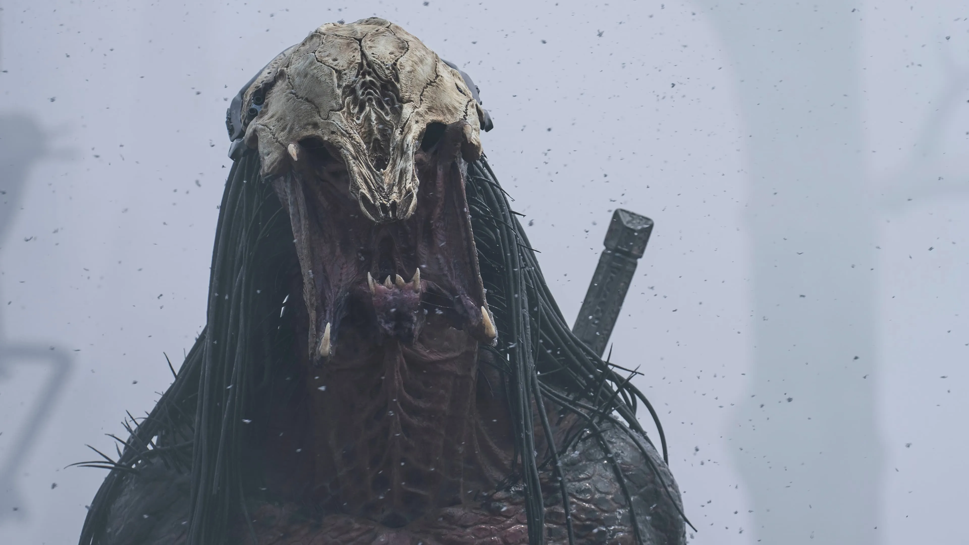 Nieuwe Predator-film 'Badlands' van 'Prey'-maker Dan Trachtenberg heeft een releasedatum