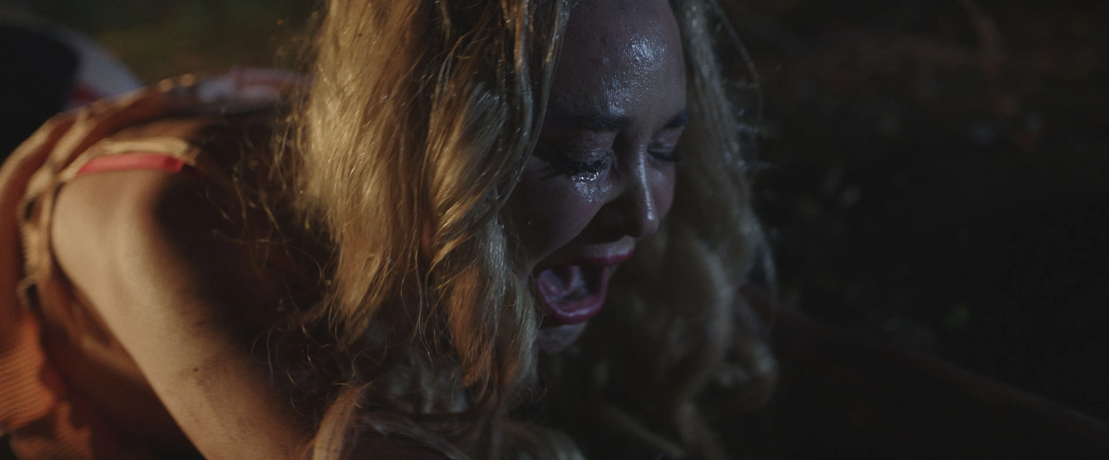Recensie: 'Winnie the Pooh: Blood and Honey 2' - Een absurde, hobbelige horror-rit
