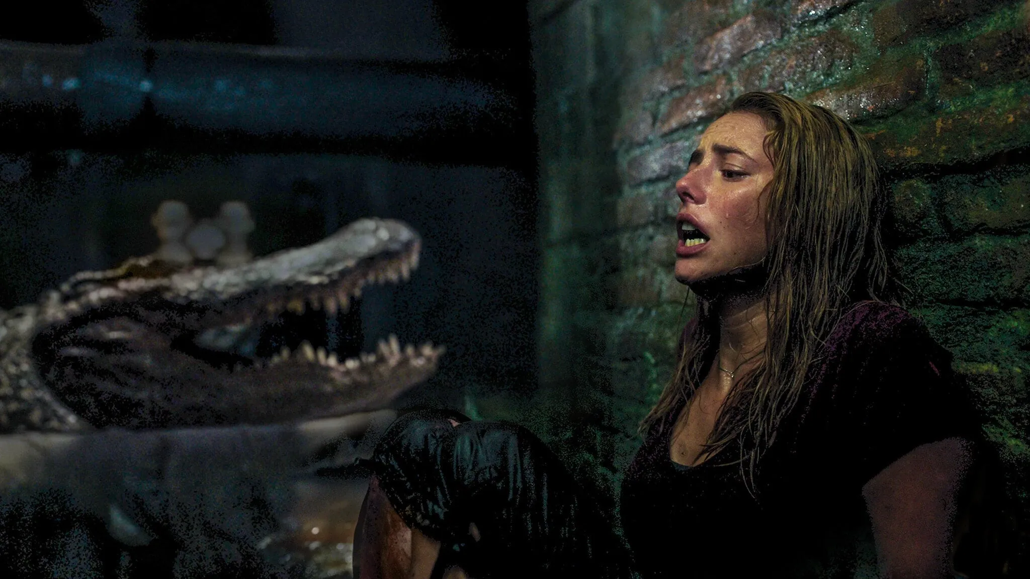 Onverwachte horrorhit uit 2019 krijgt officieel een vervolg met Sam Raimi als producent