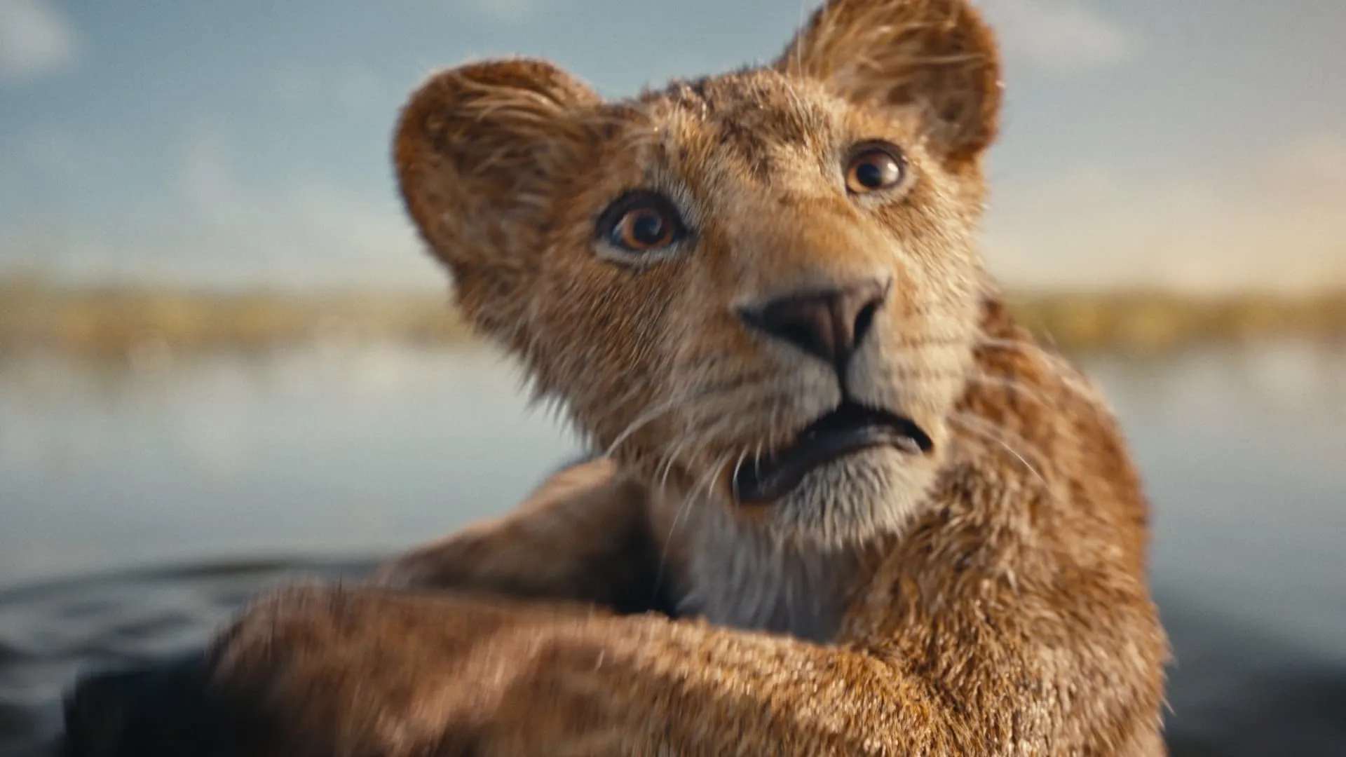 Nieuwe trailer van Lion King-film 'Mufasa' duikt in oorsprongsverhaal van Simba's vader