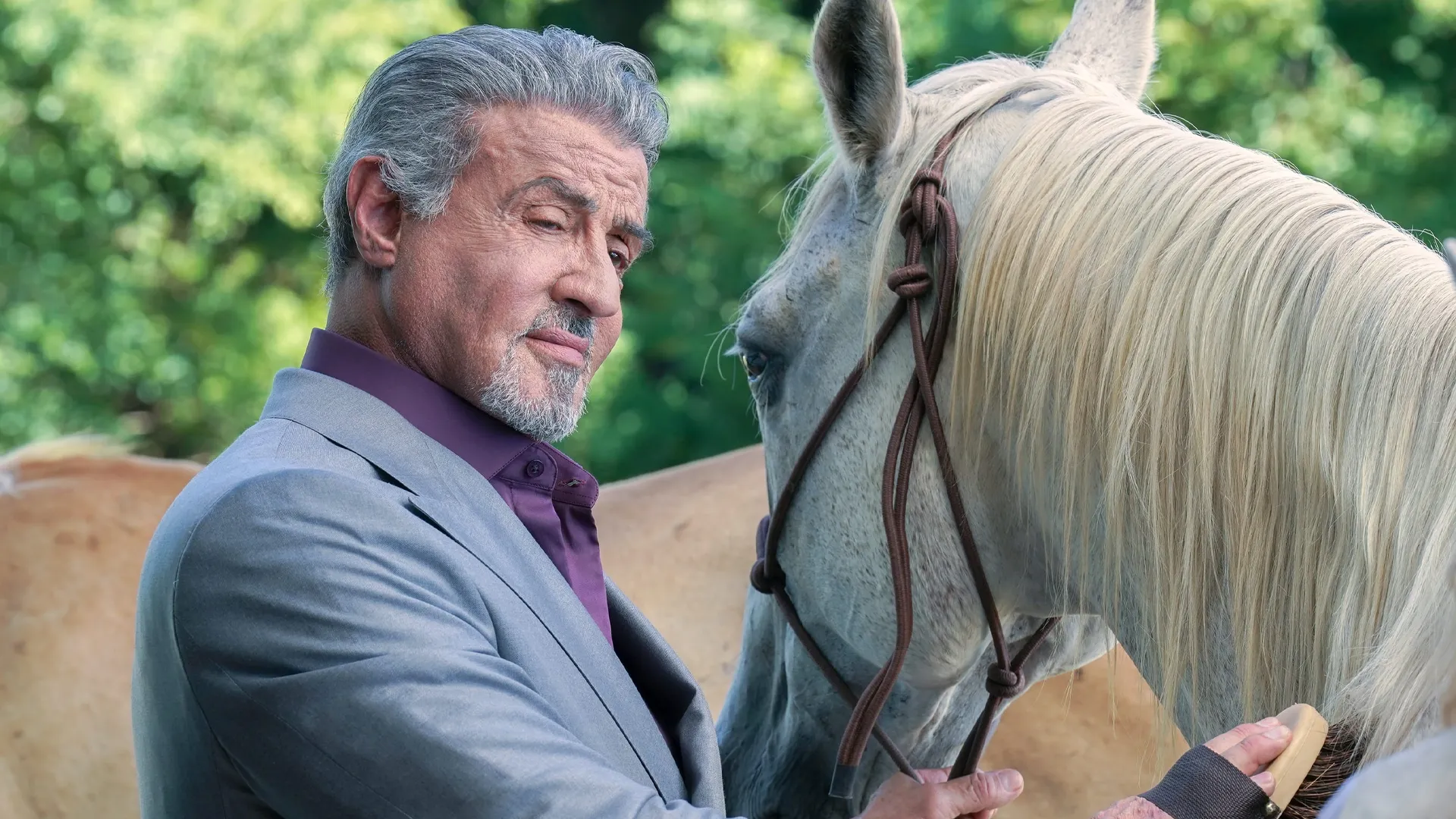 SkyShowtime deelt officiële trailer van tweede seizoen 'Tulsa King' met Sylvester Stallone