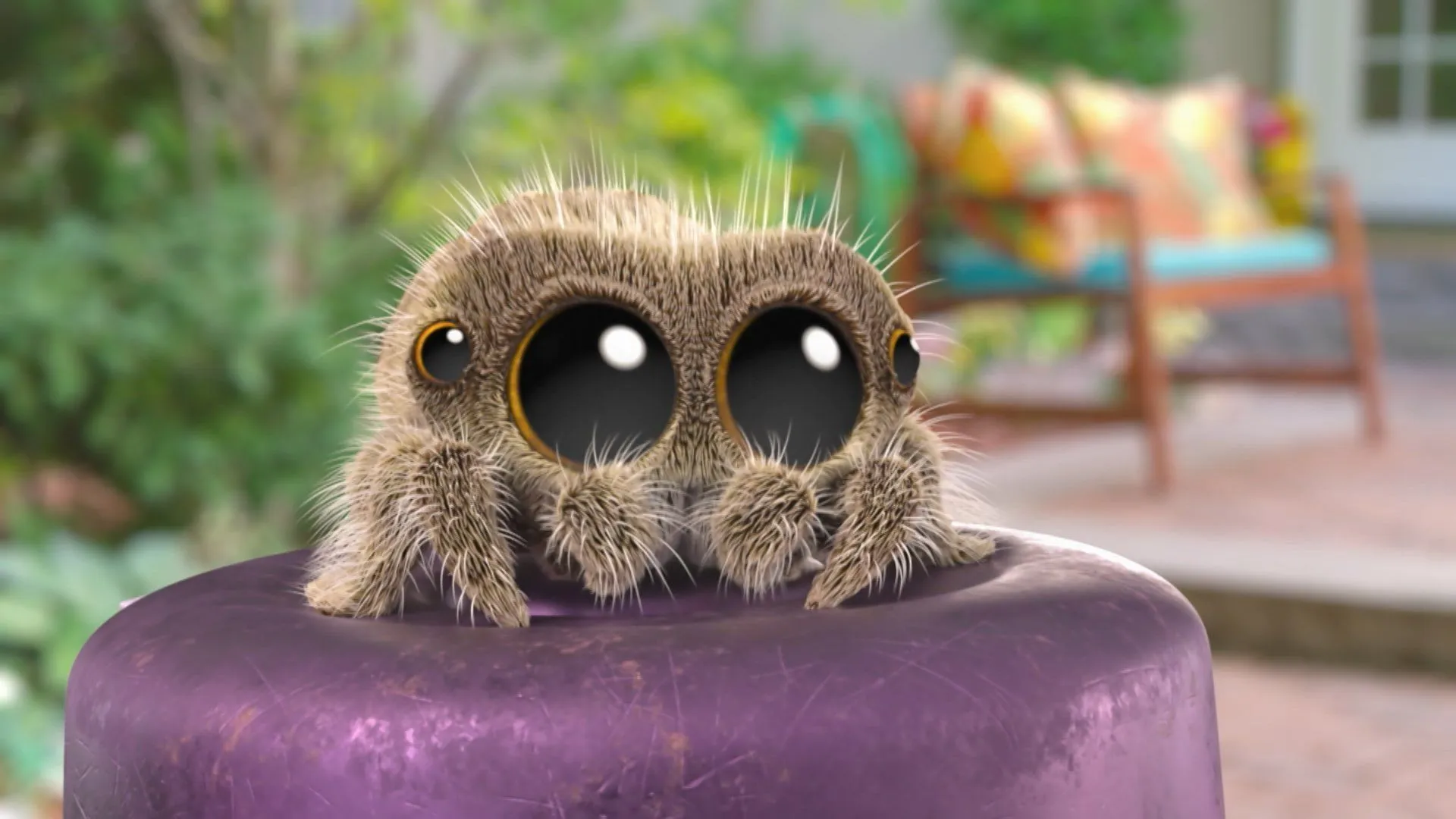 Met deze drie spinnenfilms en -series op Netflix kan zelfs de grootste arachnfoob uit de voeten