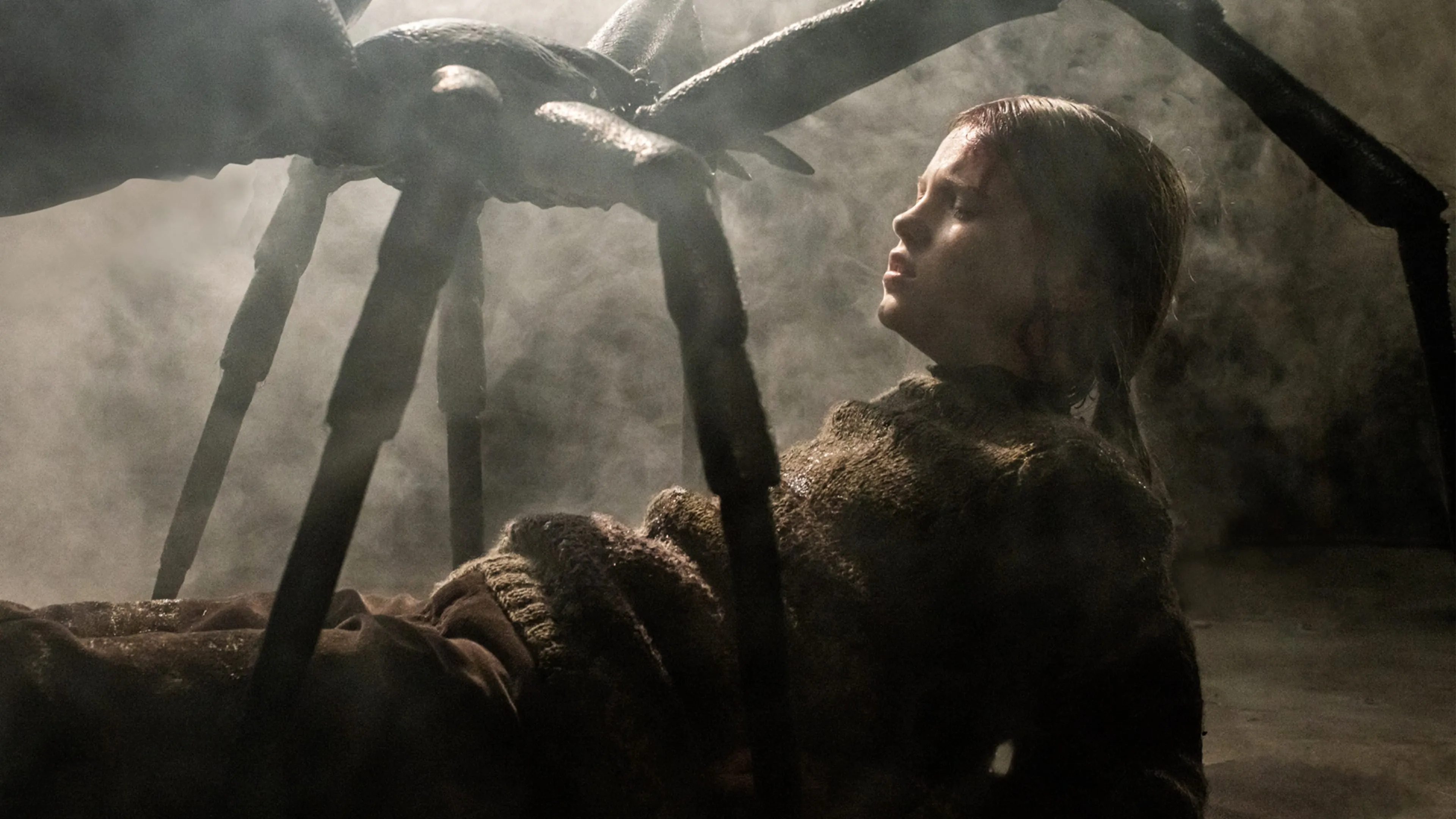 Horrorfilm 'Sting' over een bloeddorstige spin heeft een releasedatum op Netflix