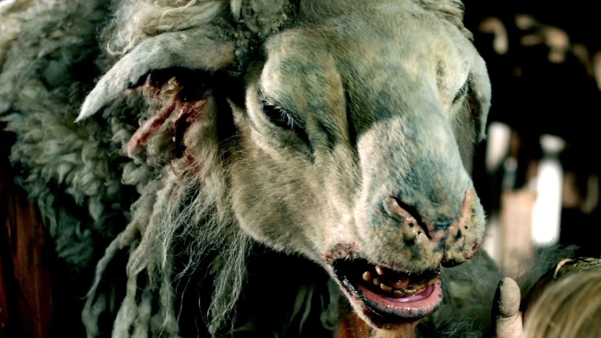 Knotsgekke cultklassieker 'Black Sheep' keert officieel terug met een langverwacht vervolg