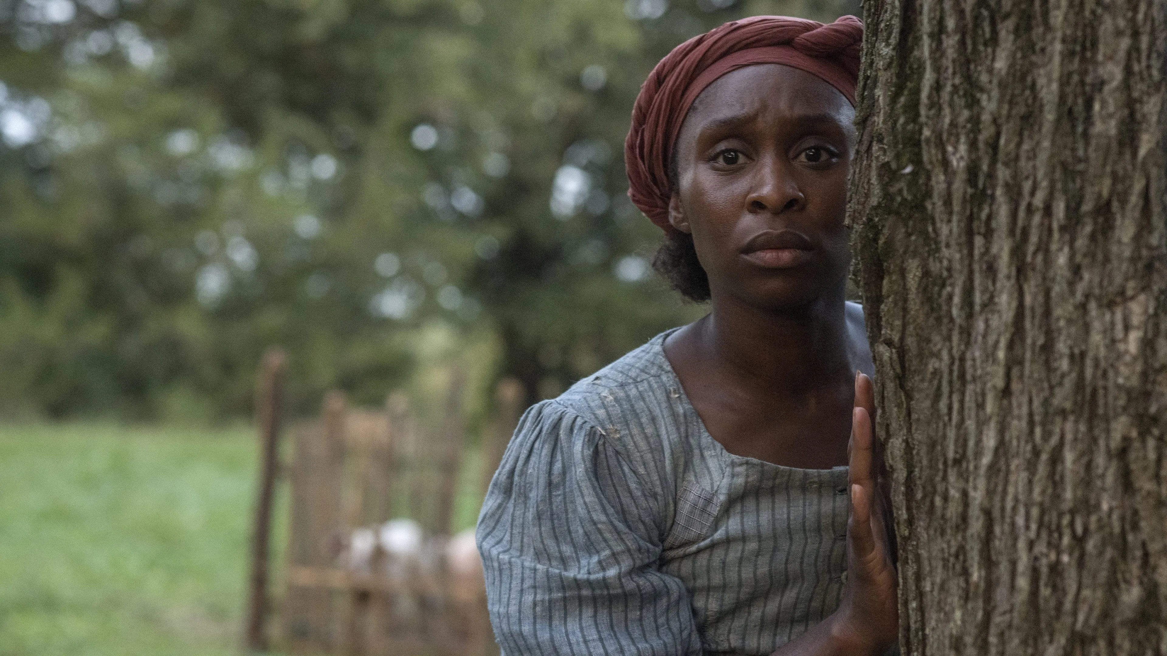 Historische dramafilm met 'Wicked'-ster Cynthia Erivo maakt indruk: "f—ing mooie film!"