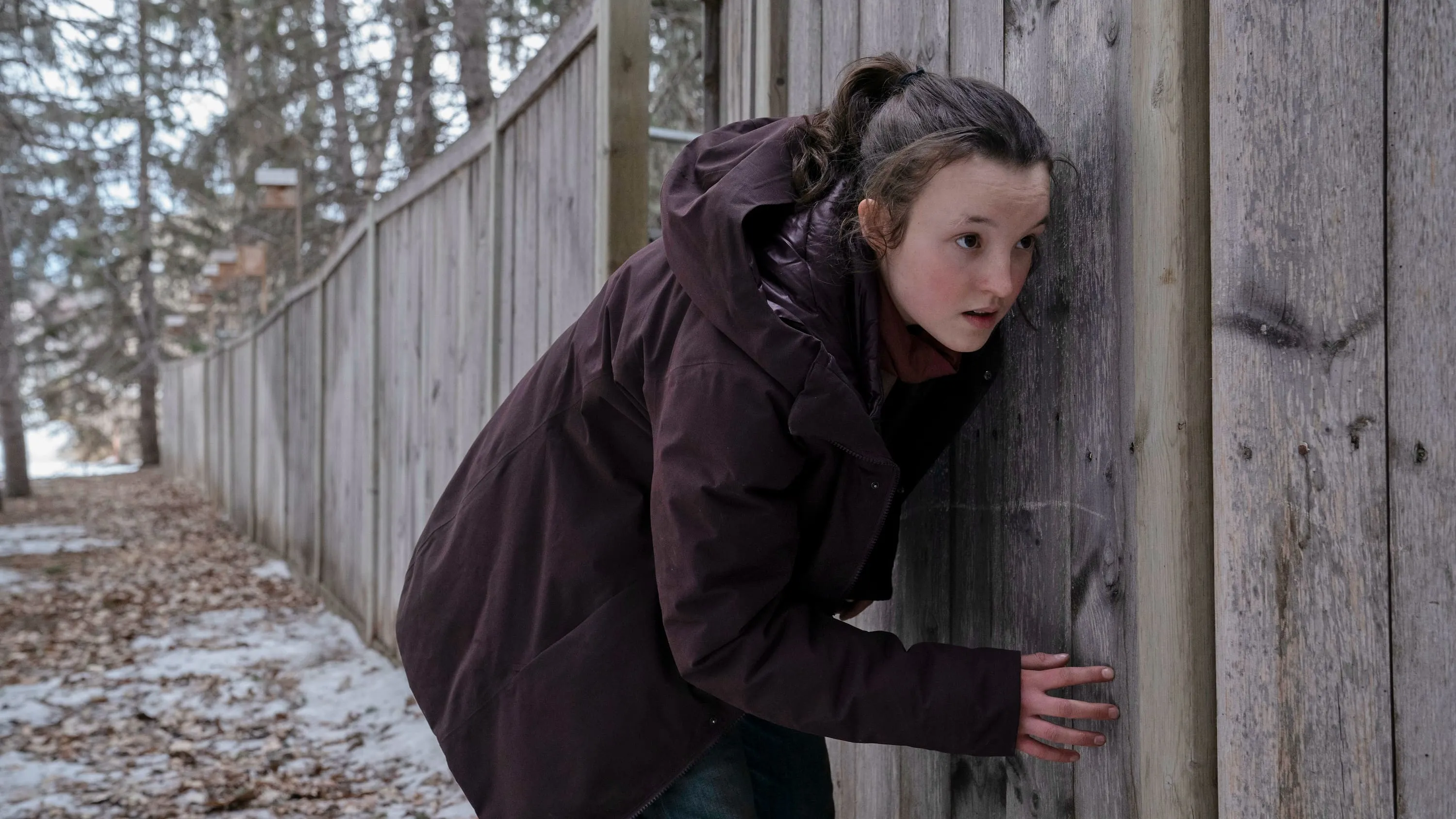 HBO Max deelt nieuwe teaser én releasedatum van tweede seizoen hitserie 'The Last of Us'