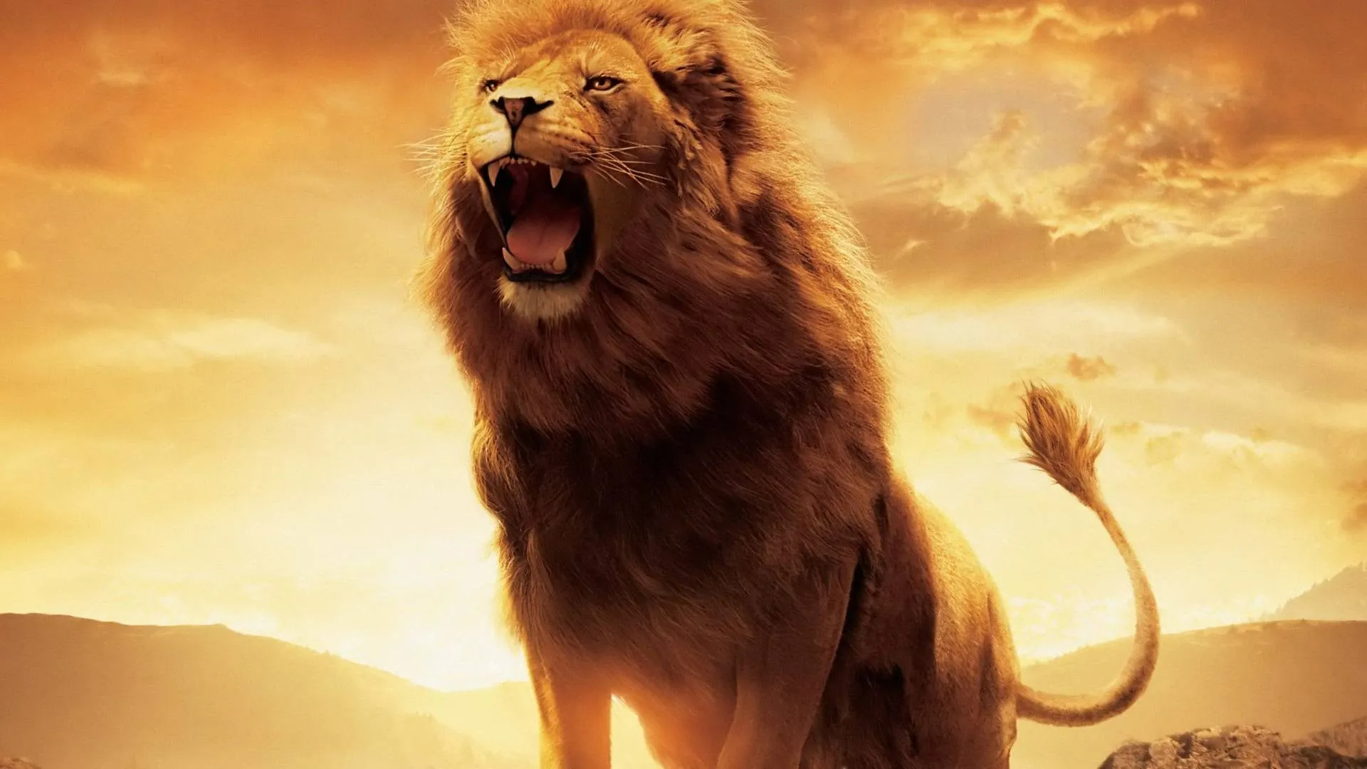 Meryl Streep in gesprek voor grote rol in nieuwe Narnia-verfilming van Greta Gerwig