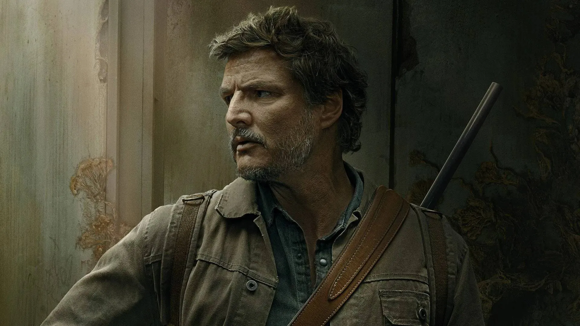 HBO-hitserie 'The Last of Us' officieel verlengd met een derde seizoen
