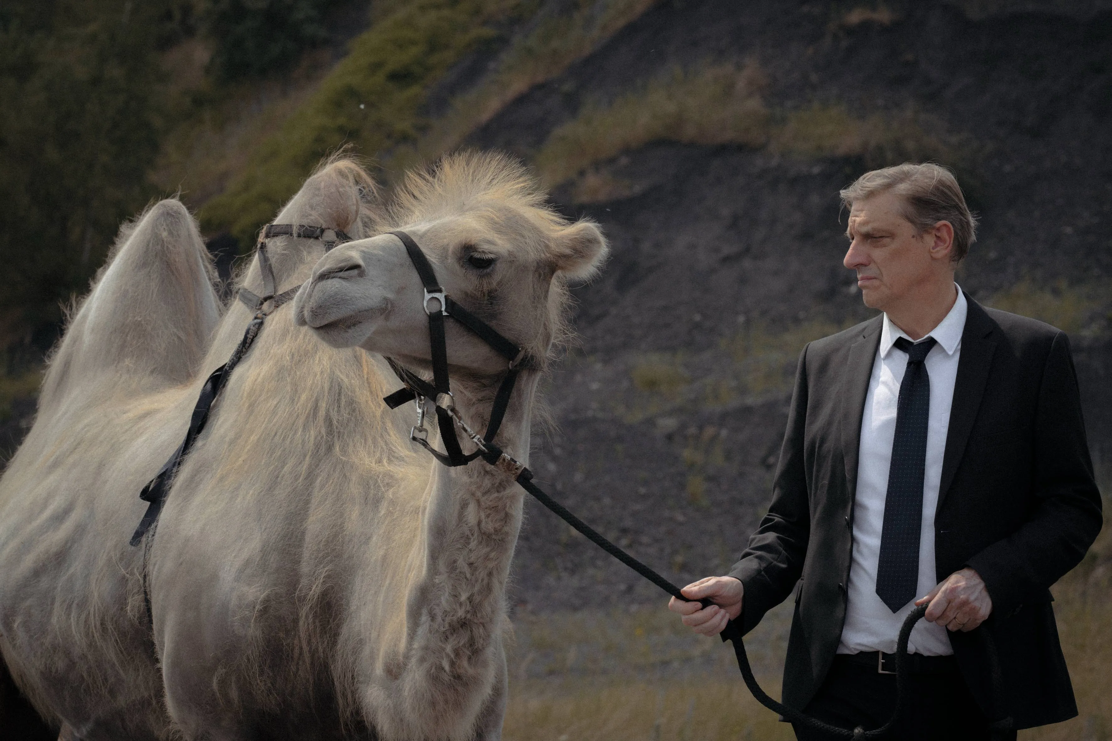 Absurde Belgische bioscoopfilm 'Waarom Wettelen?' komt binnenkort naar Netflix