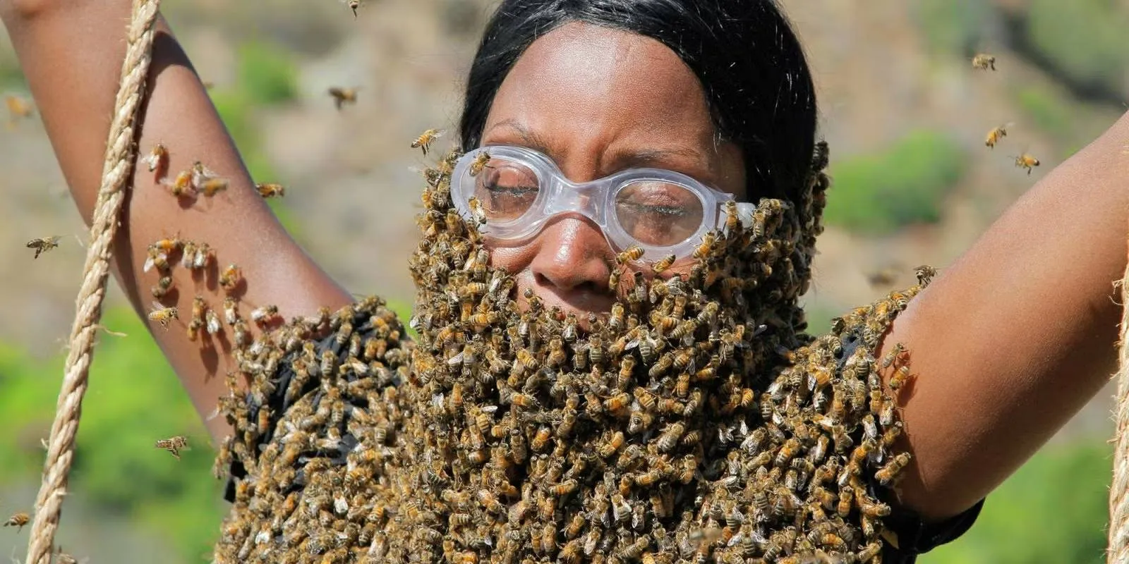 fear factor beesjpg