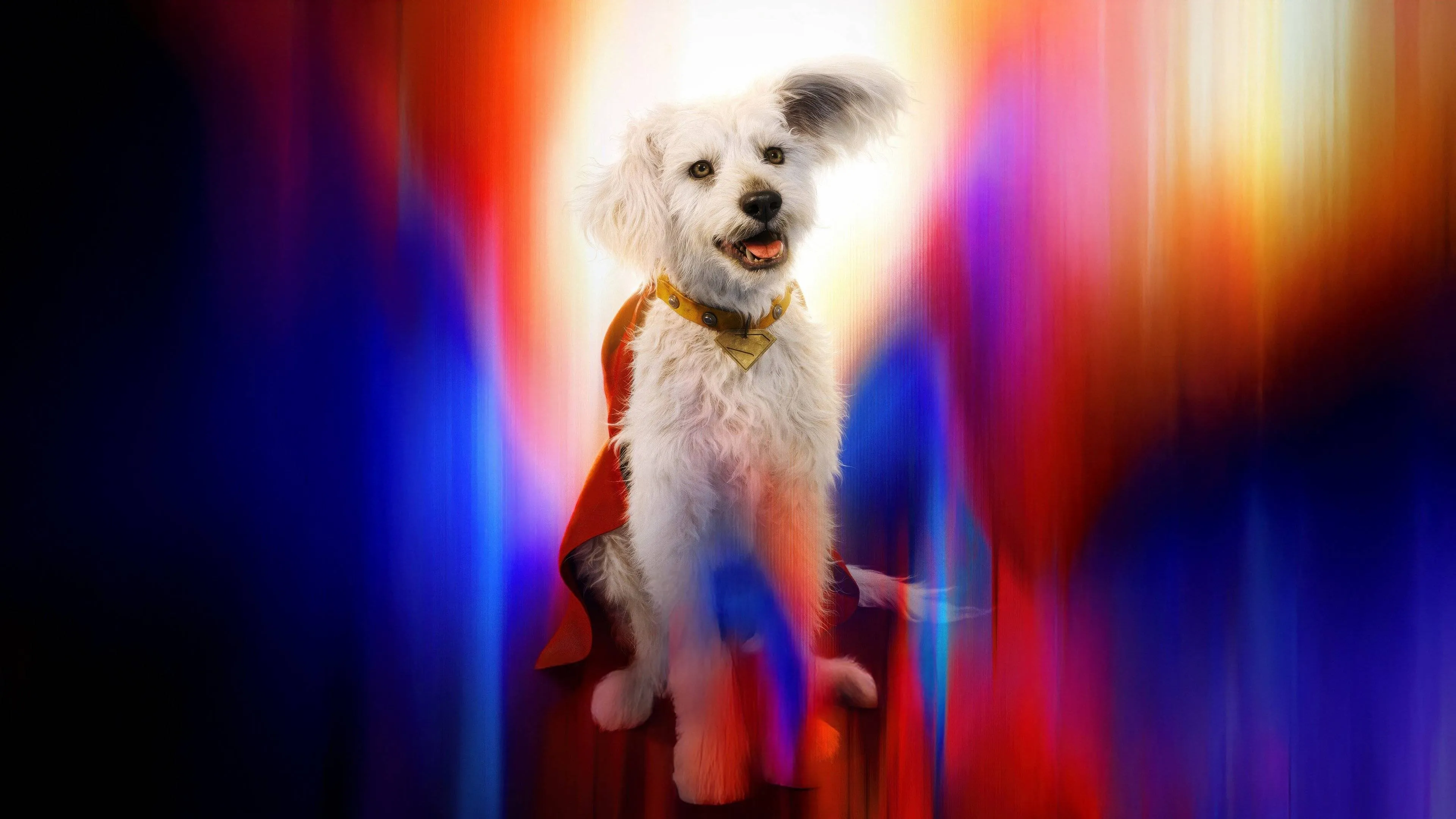 Krypto zorgt voor explosieve stijging in adopties van honden na nieuwe 'Superman'-film