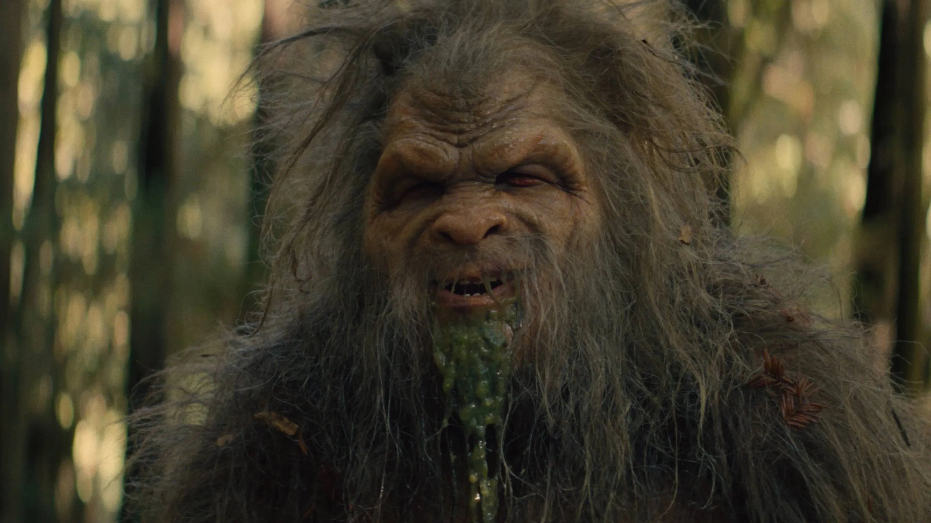 Recensie: 'Sasquatch Sunset' – vreemd, grotesk, absurd en onmiskenbaar uniek
